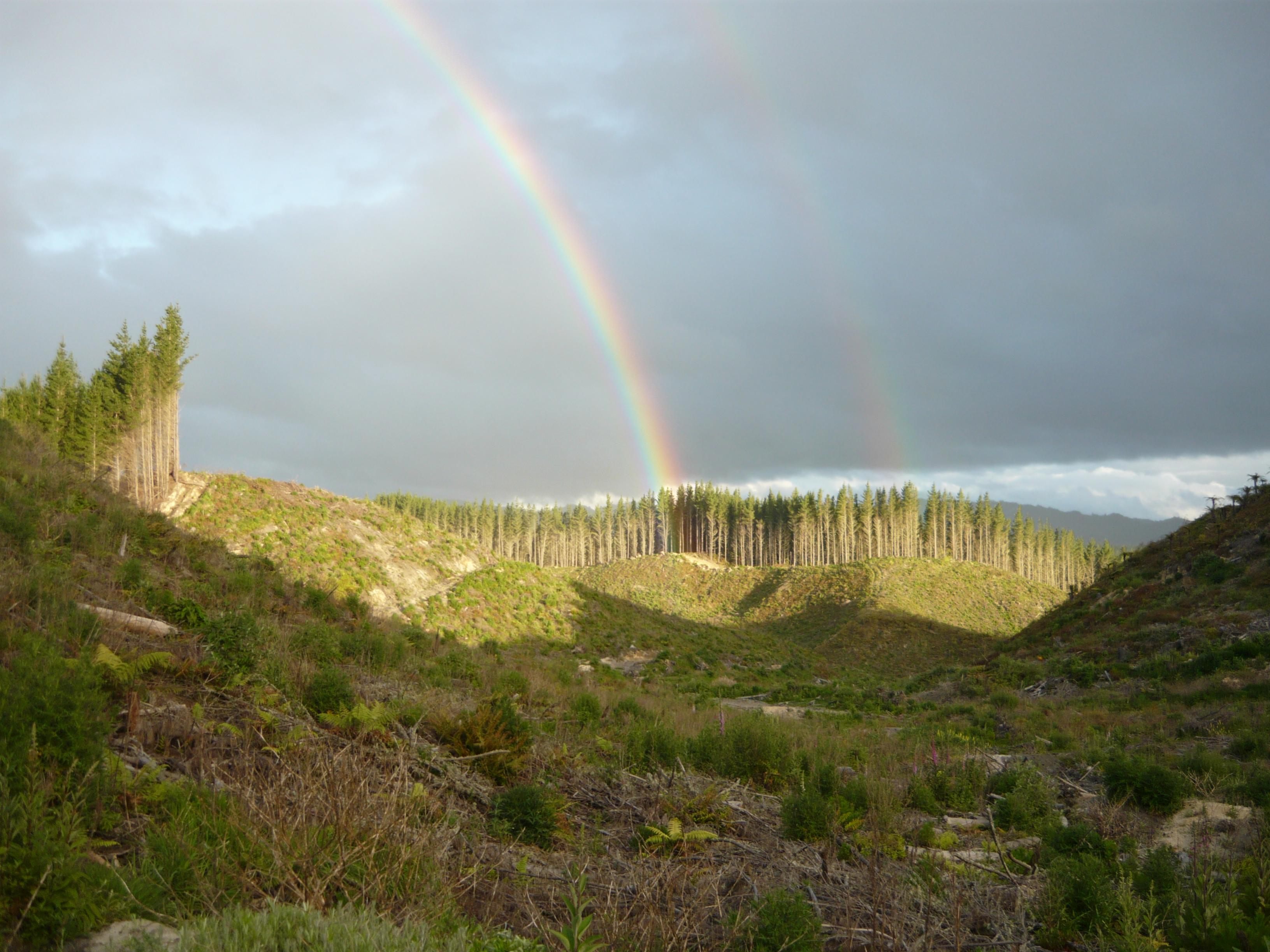 Name:  Double Rainbow Matahina.jpg
Views: 228
Size:  693.8 KB
