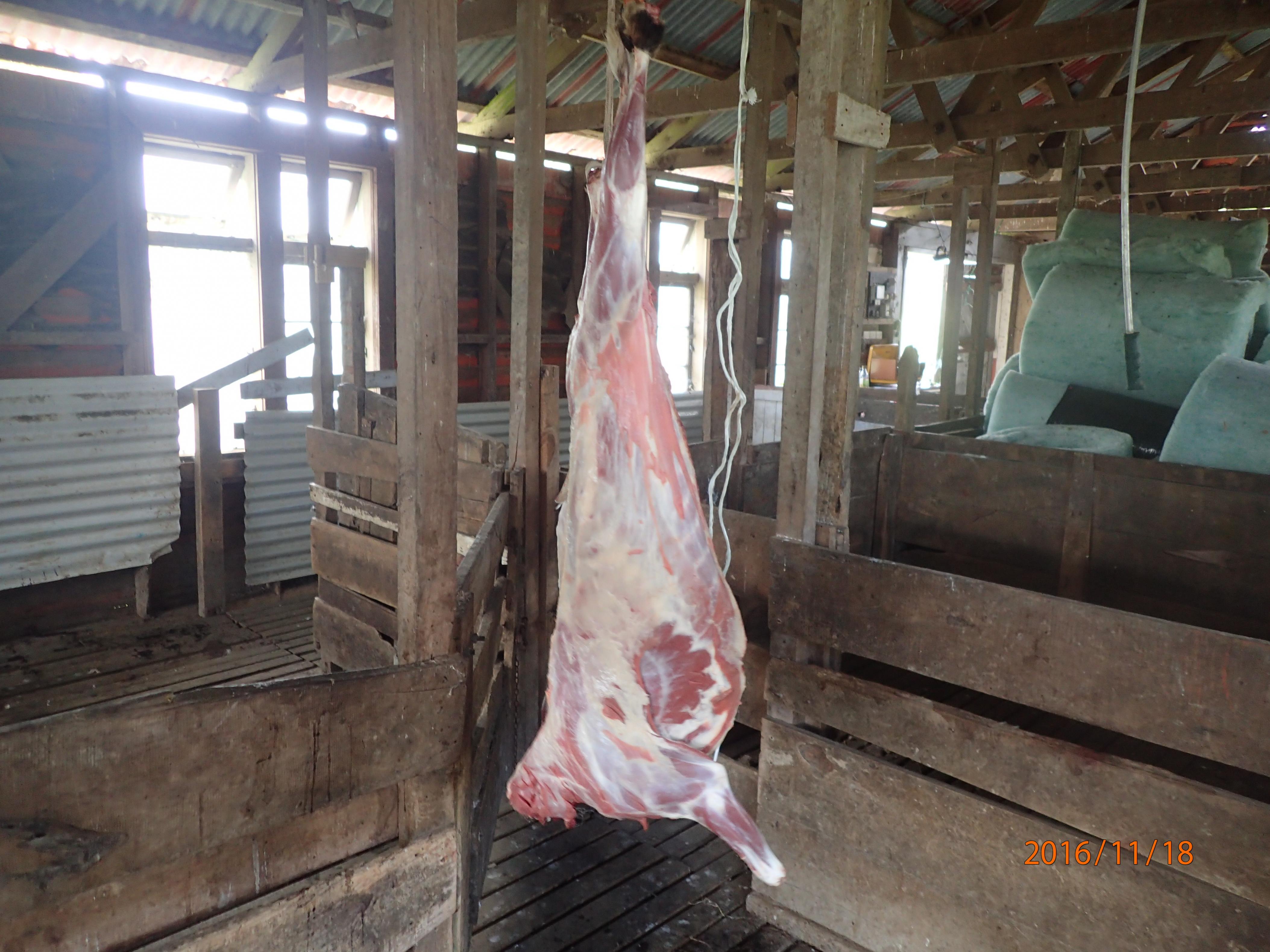 Name:  PB180197.jpg
Views: 385
Size:  990.7 KB