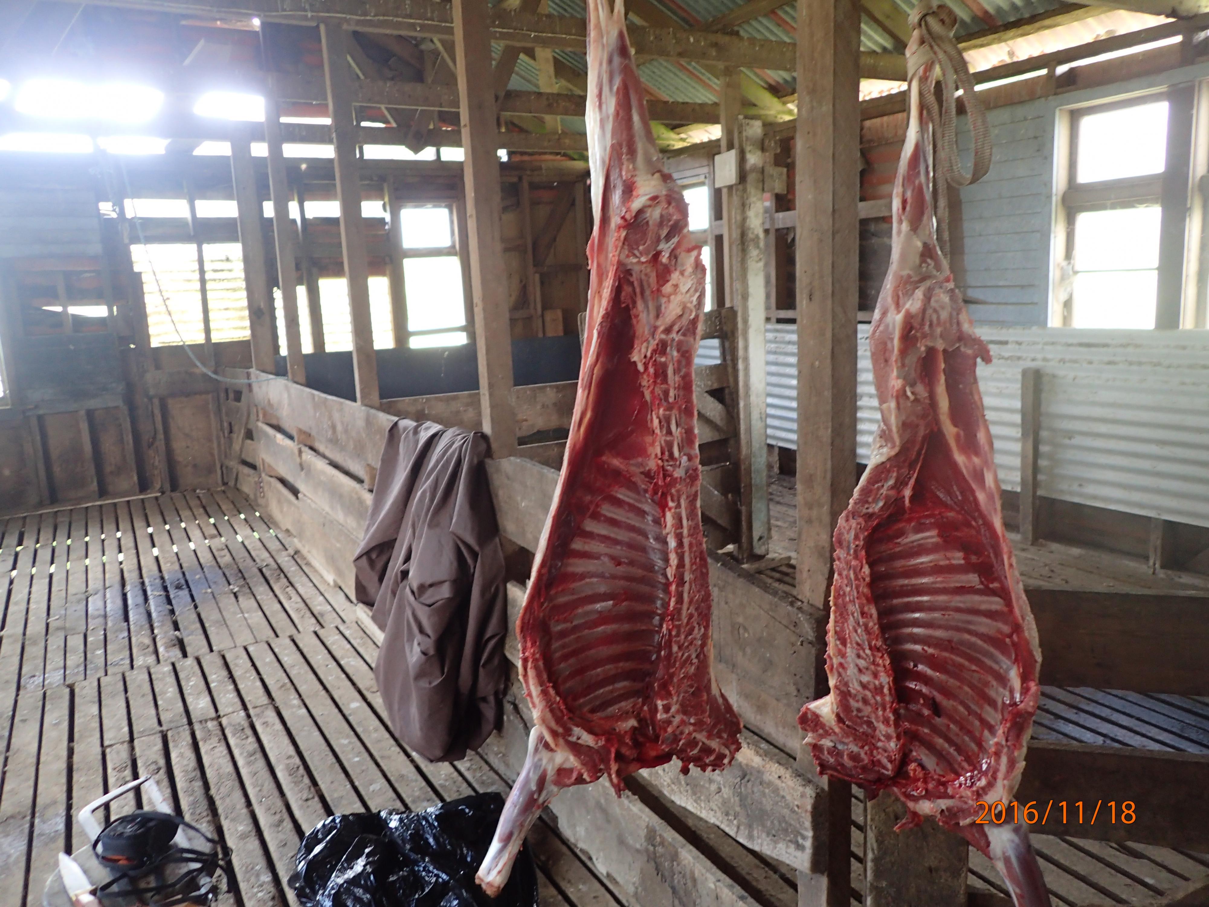 Name:  PB180198.jpg
Views: 503
Size:  1,021.5 KB