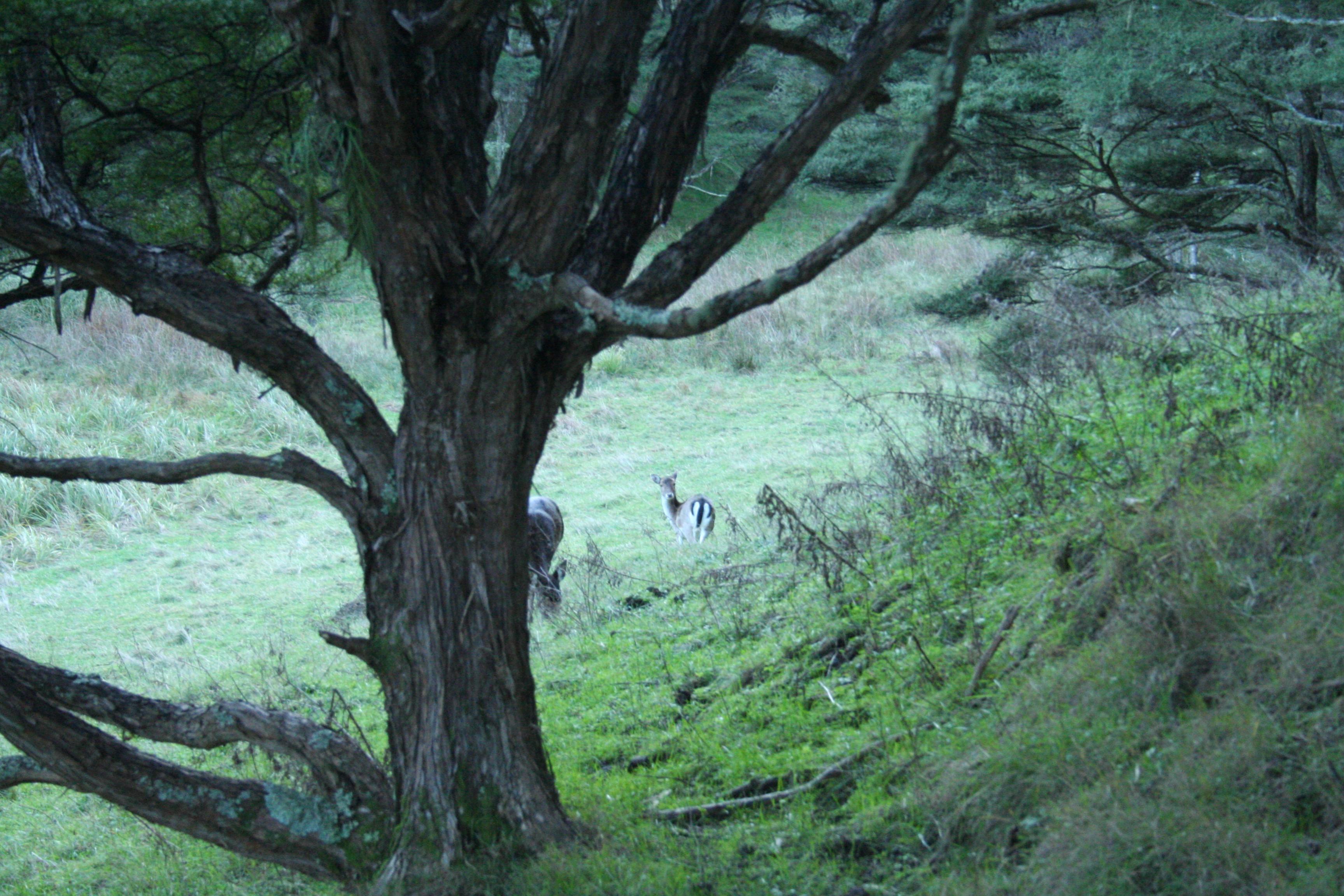 Name:  1f.jpg
Views: 385
Size:  947.6 KB