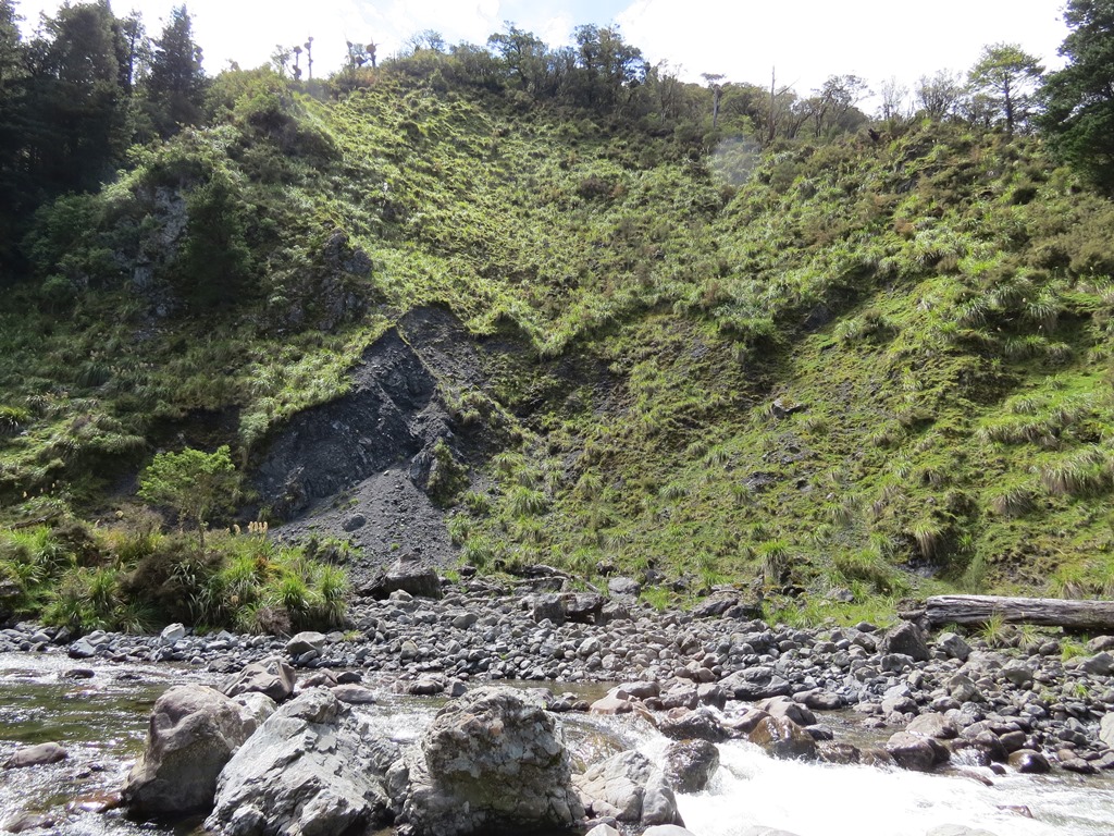 Name:  Grass face oppisite hut.JPG
Views: 2281
Size:  412.9 KB