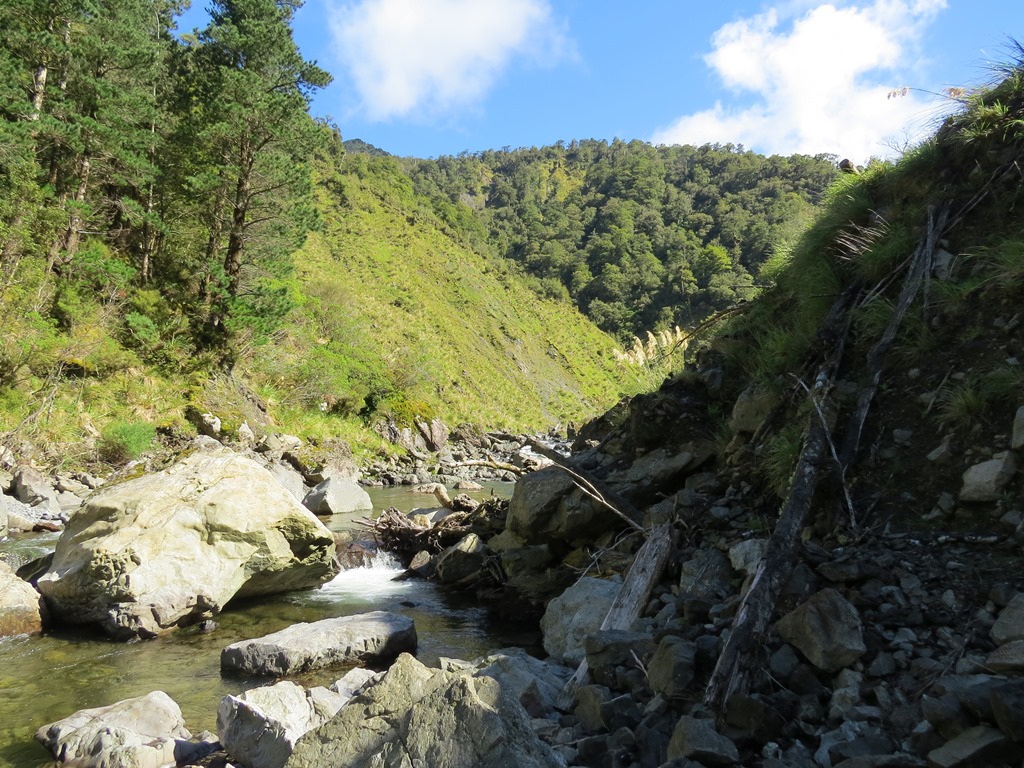 Name:  Grassy slip face.JPG
Views: 2229
Size:  330.9 KB
