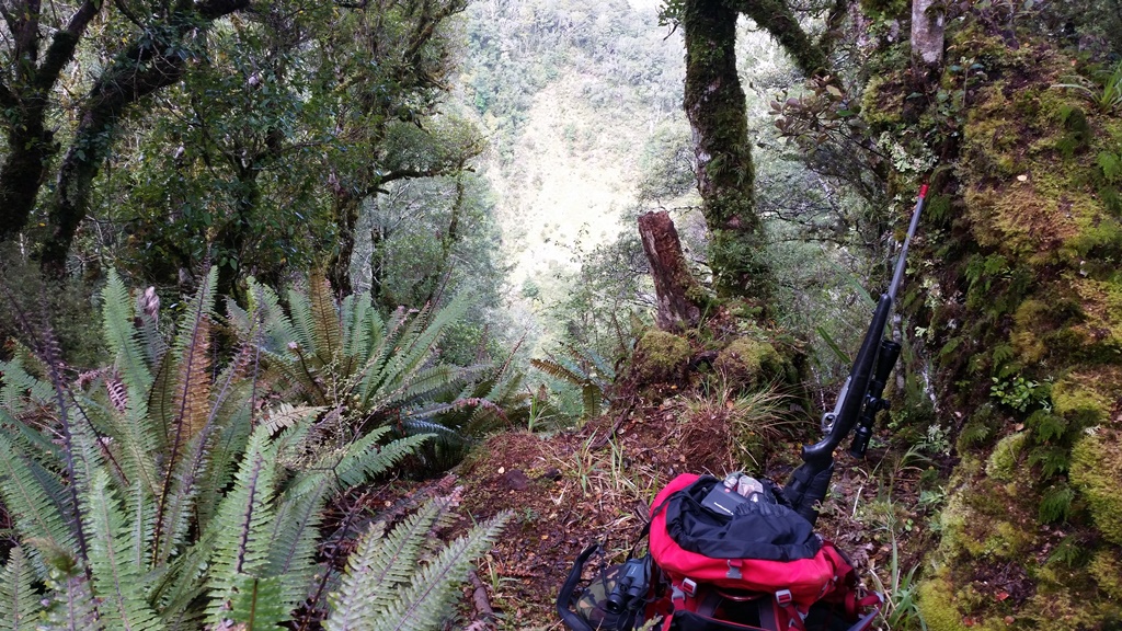 Name:  Looking at slip in side creek from above.jpg
Views: 2232
Size:  413.0 KB