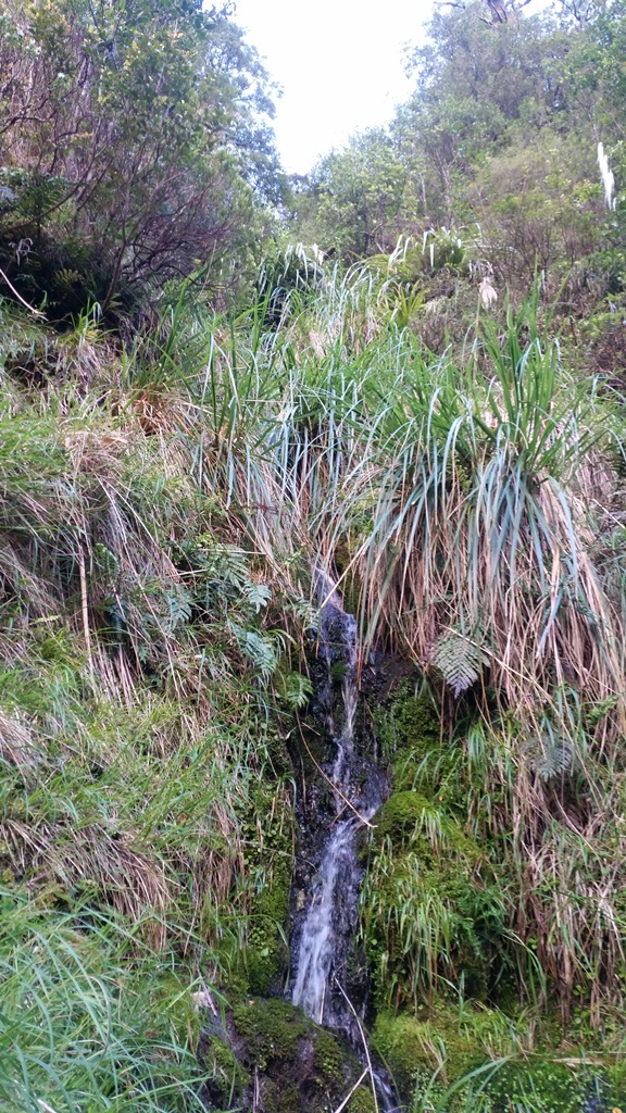 Name:  Waterfall he tumbeled down.jpg
Views: 2183
Size:  390.2 KB