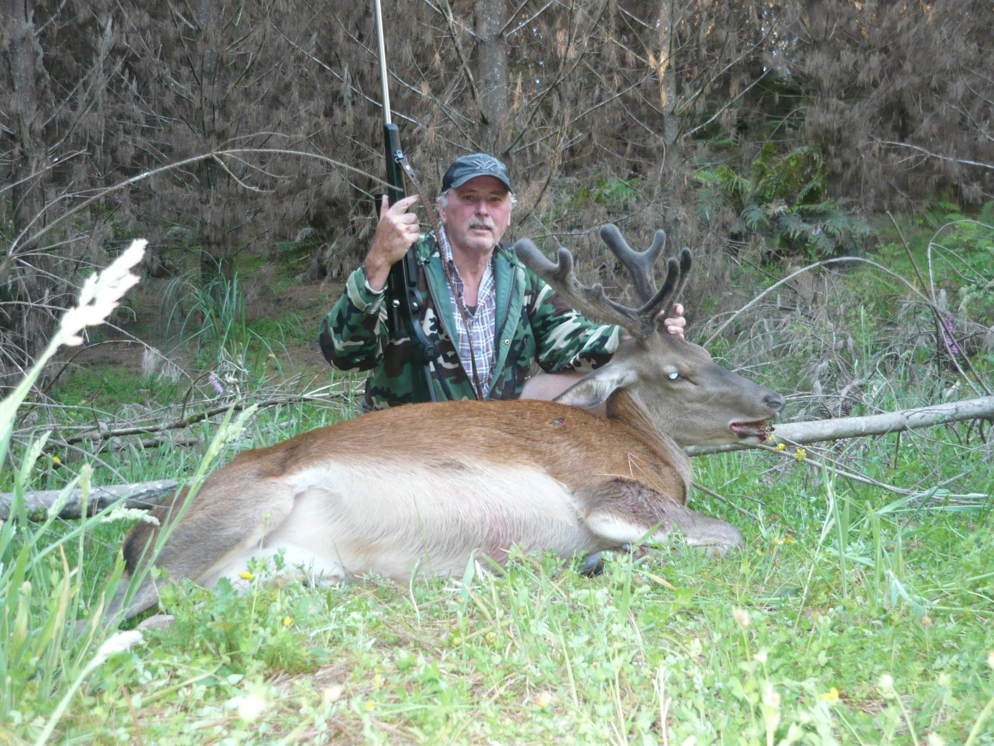 Name:  Matahina Stag with 300 Win.jpg
Views: 502
Size:  983.1 KB