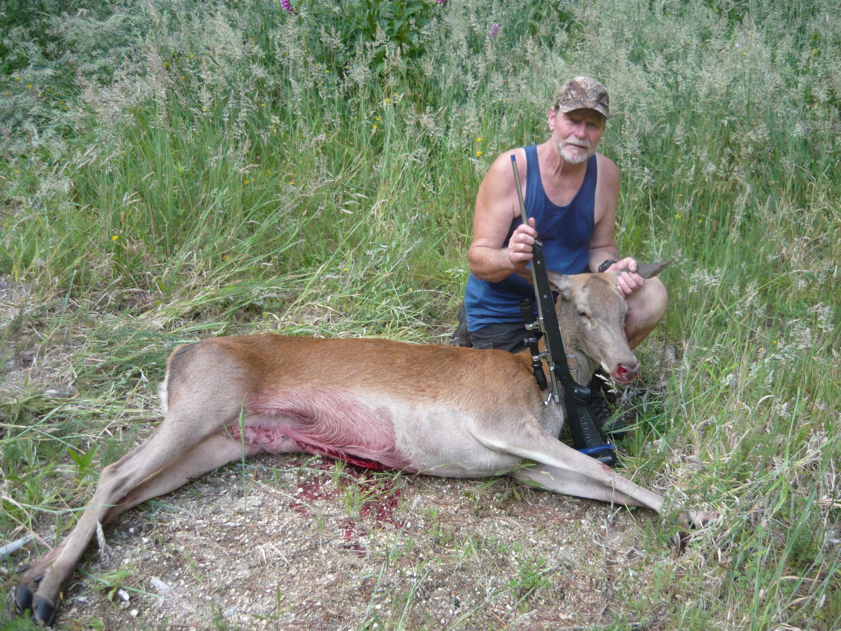 Name:  Kevin's Hind off Mangone Rd 31st Dec 2016.jpg
Views: 332
Size:  1.03 MB