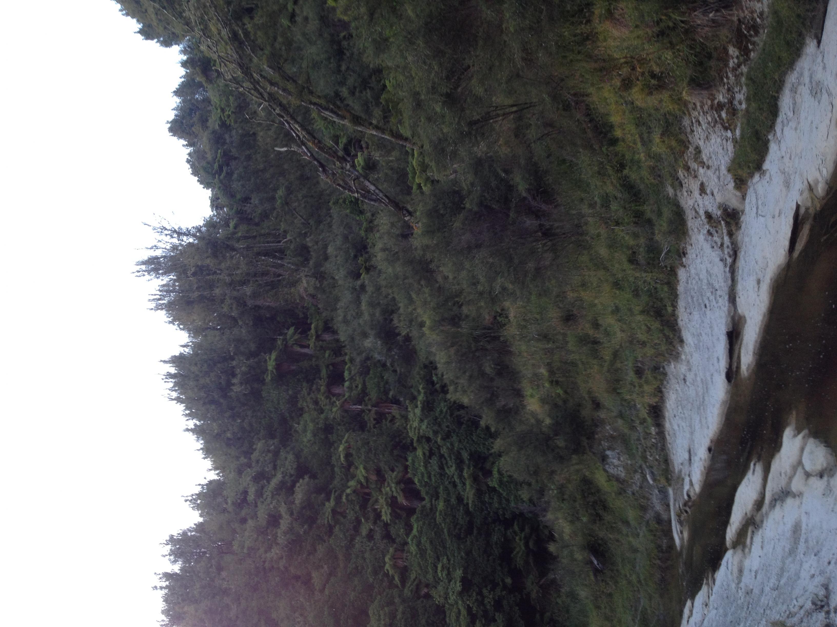 Name:  IMG_0660.jpg
Views: 572
Size:  670.1 KB