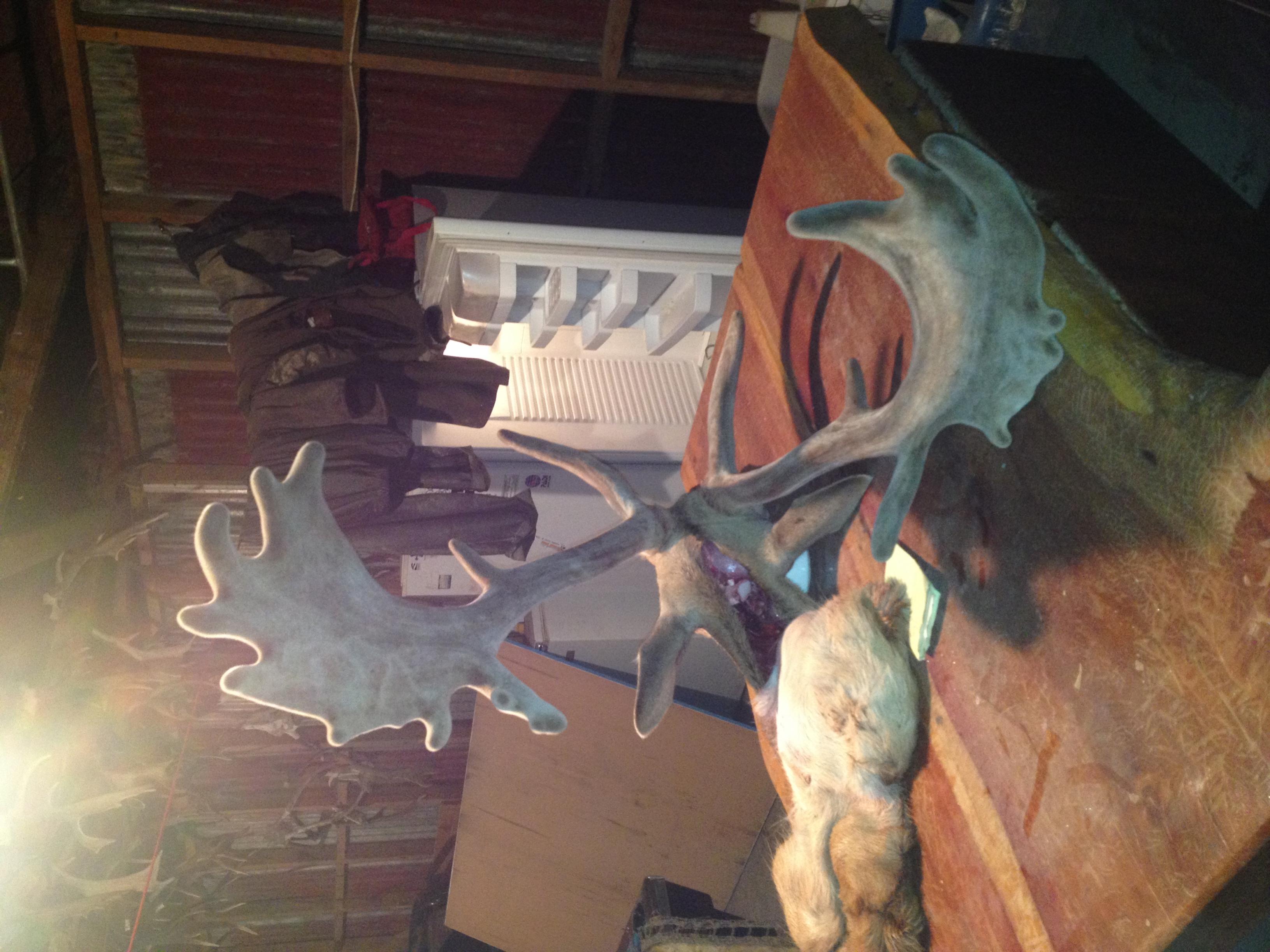Name:  IMG_0691.jpg
Views: 316
Size:  744.5 KB