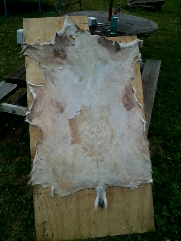 Name:  uploadfromtaptalk1358568690827.jpg
Views: 687
Size:  53.1 KB