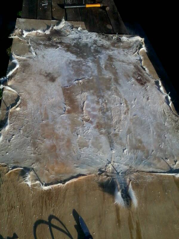 Name:  uploadfromtaptalk1358624746553.jpg
Views: 733
Size:  64.2 KB