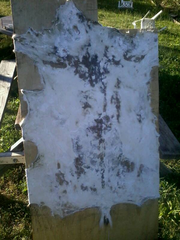 Name:  uploadfromtaptalk1358663154051.jpg
Views: 329
Size:  64.2 KB