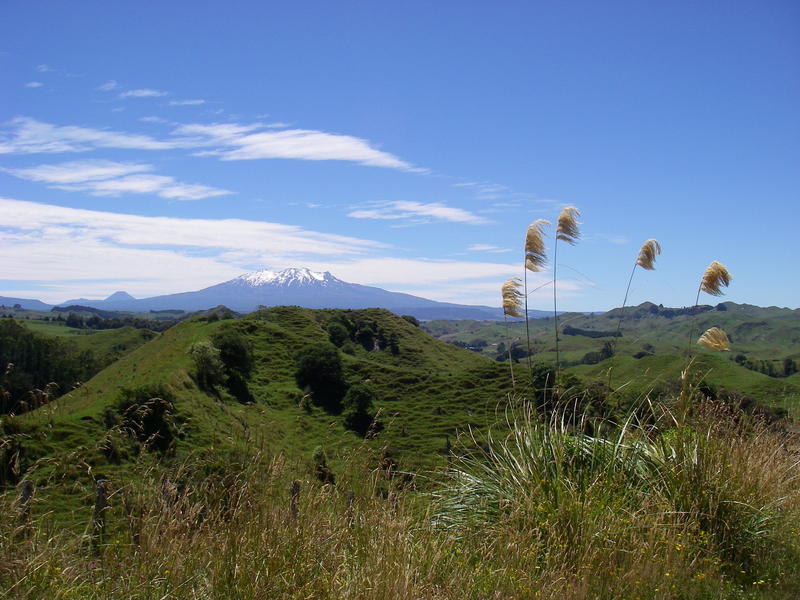 Name:  IMGP0079.jpg
Views: 614
Size:  137.7 KB