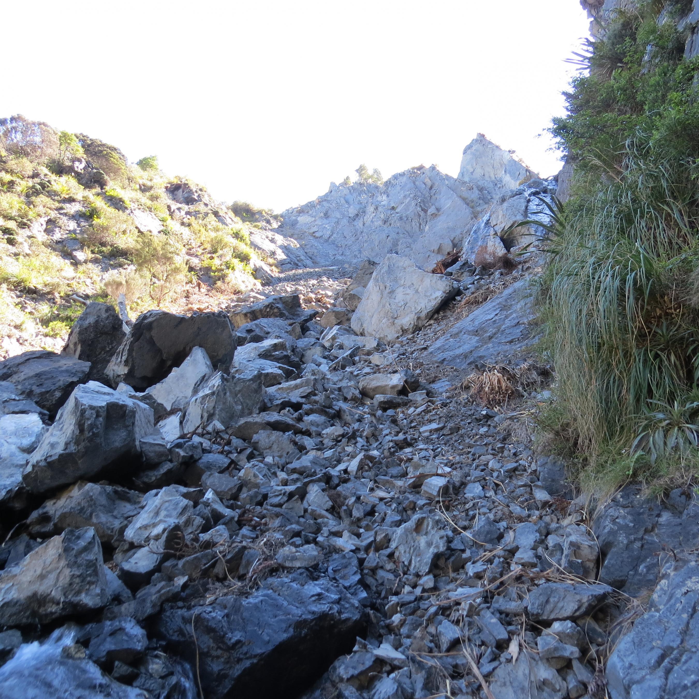 Name:  IMG_4964.jpg
Views: 738
Size:  1.00 MB
