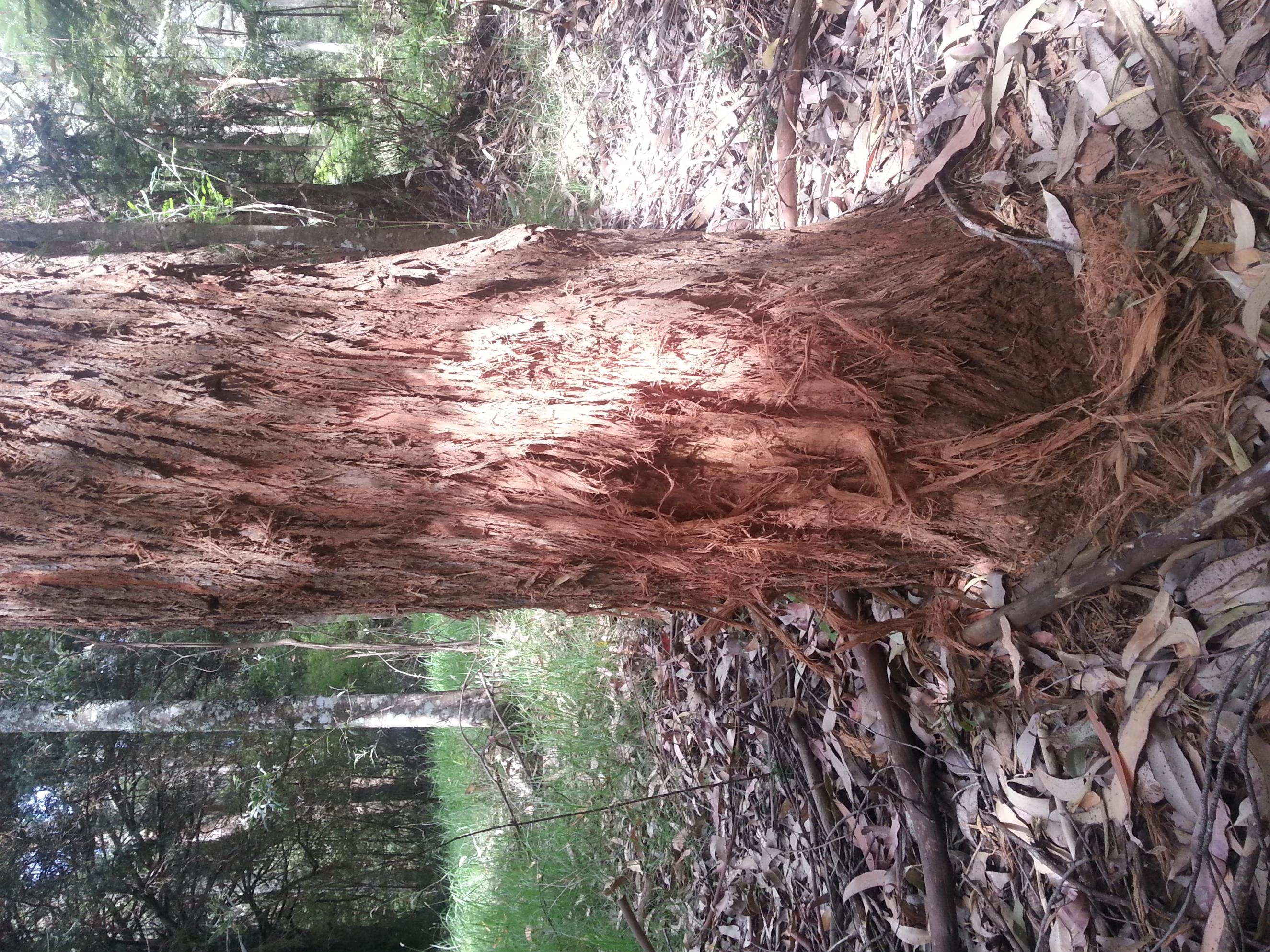 Name:  20130202_113431.jpg
Views: 325
Size:  1.07 MB