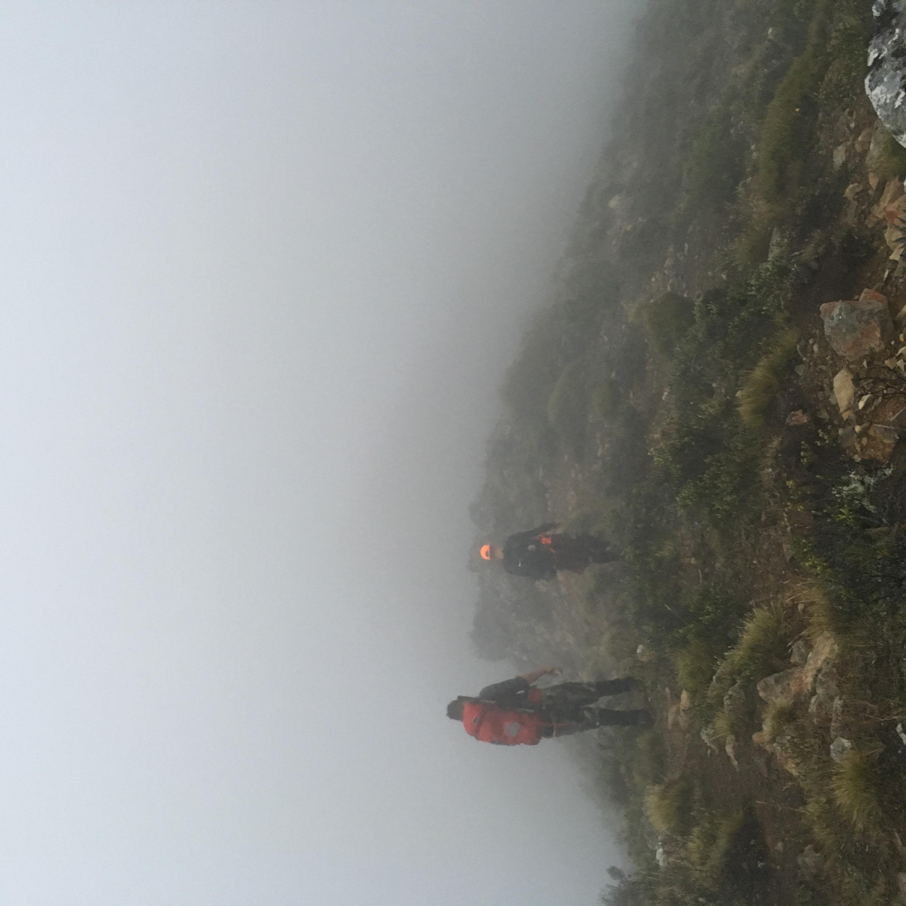 Name:  IMG_0703.jpg
Views: 489
Size:  531.9 KB