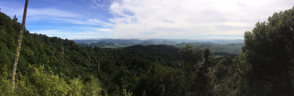 Name:  IMG_3246 (1024x336).jpg
Views: 376
Size:  207.4 KB
