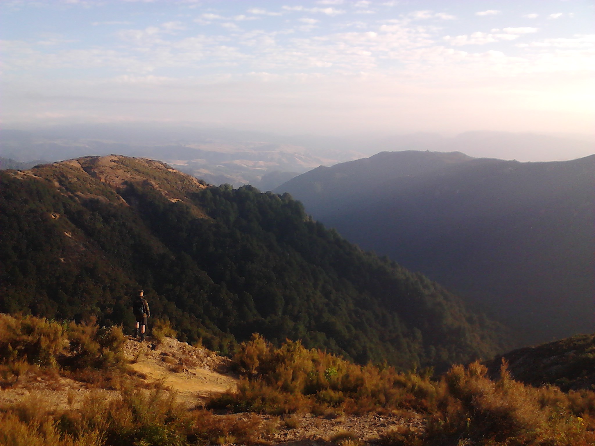 Name:  IMG_20130202_074159.jpg
Views: 1502
Size:  479.5 KB