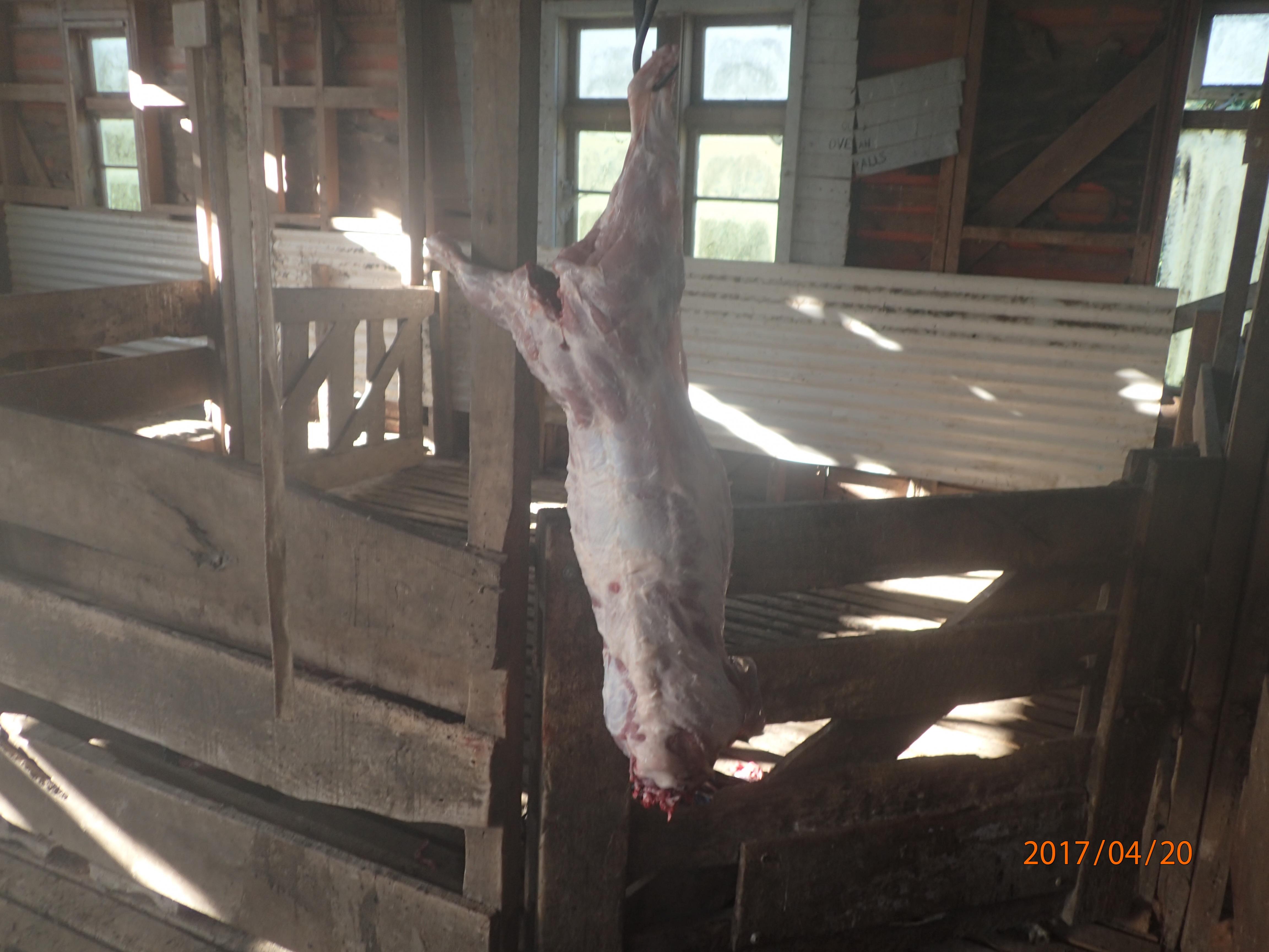 Name:  P4200264.jpg
Views: 461
Size:  758.1 KB