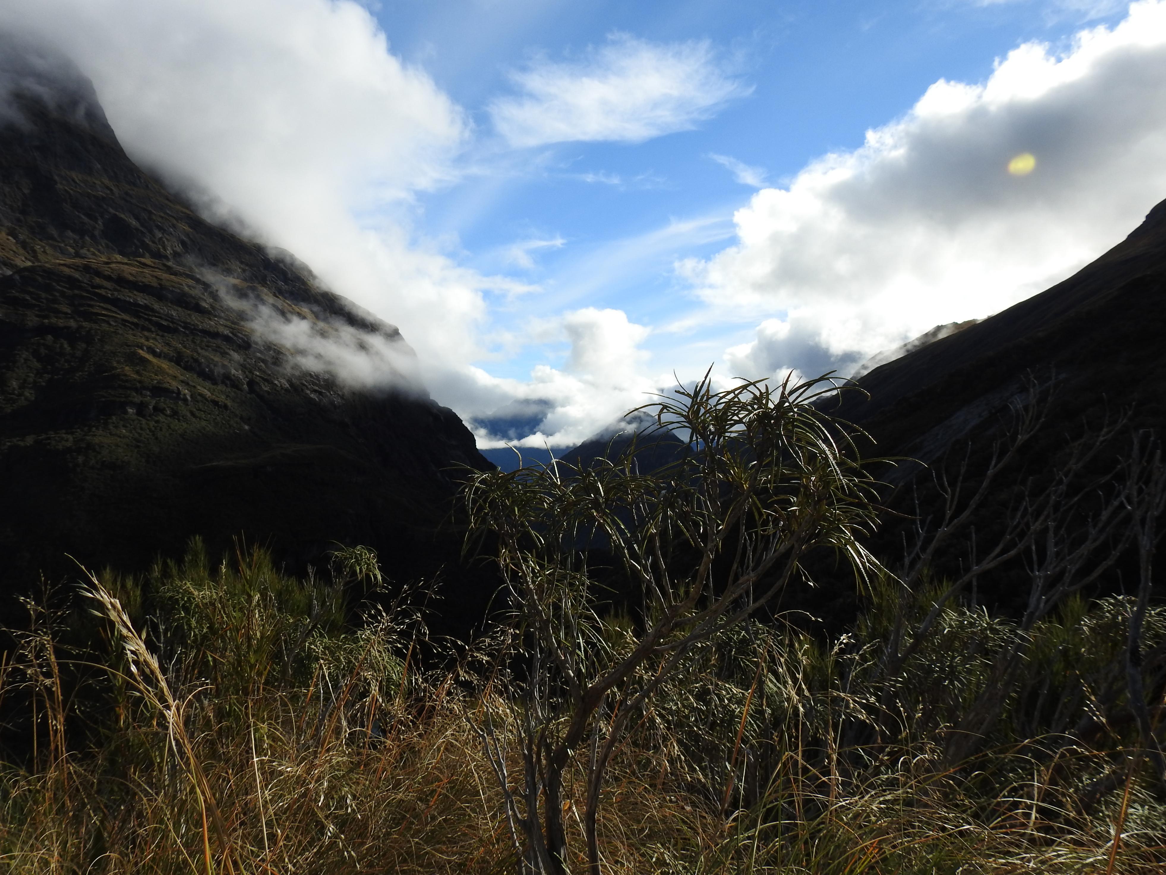 Name:  DSCN0254.jpg
Views: 685
Size:  1.04 MB