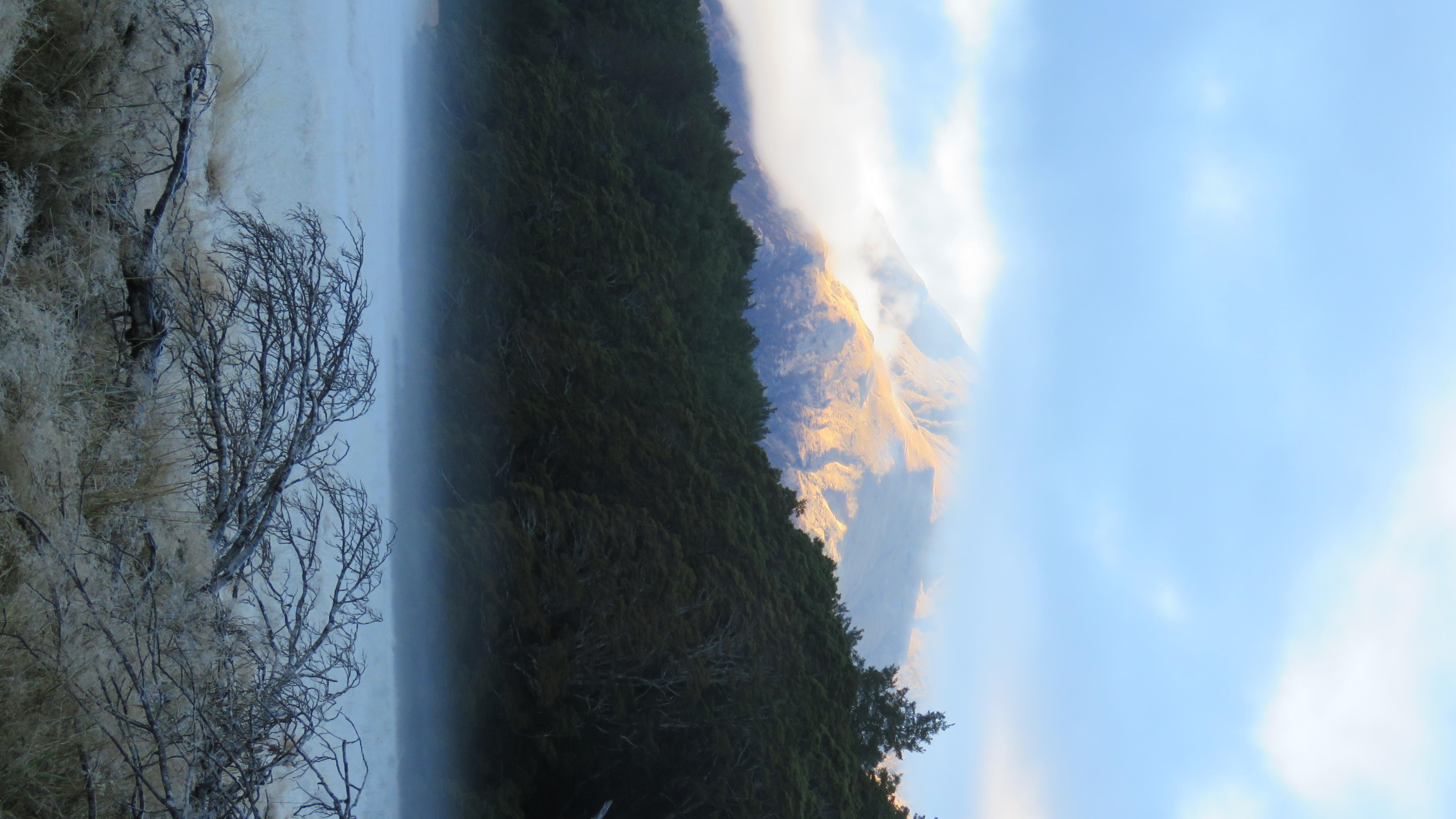 Name:  IMG_0414.jpg
Views: 1031
Size:  848.9 KB
