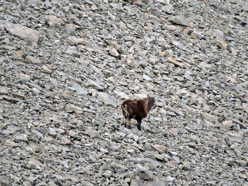 Name:  IMG_0758.JPG
Views: 721
Size:  362.4 KB