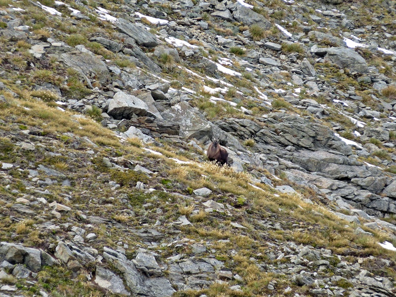 Name:  IMG_0748.JPG
Views: 792
Size:  362.4 KB
