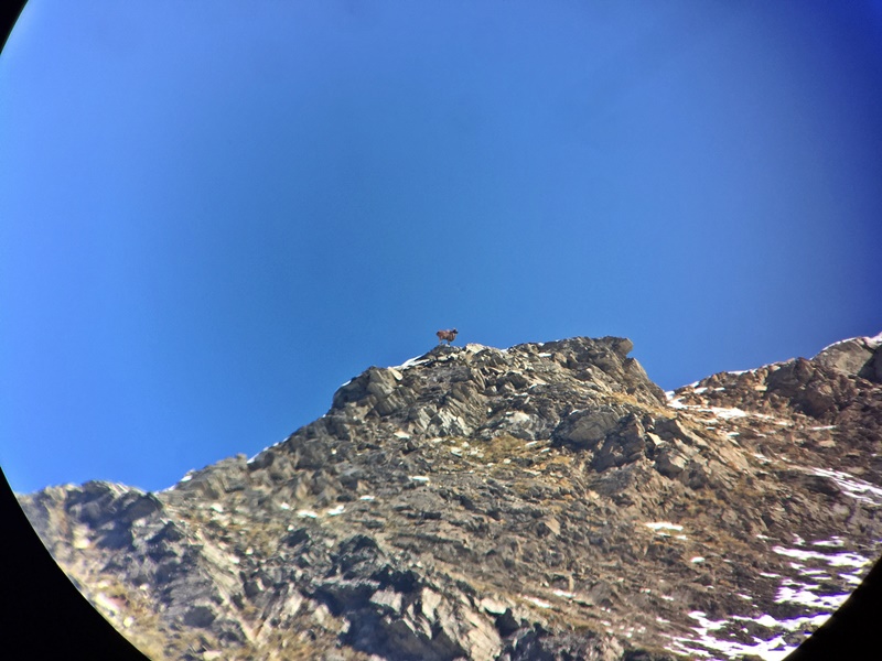 Name:  IMG_1735.JPG
Views: 671
Size:  157.3 KB