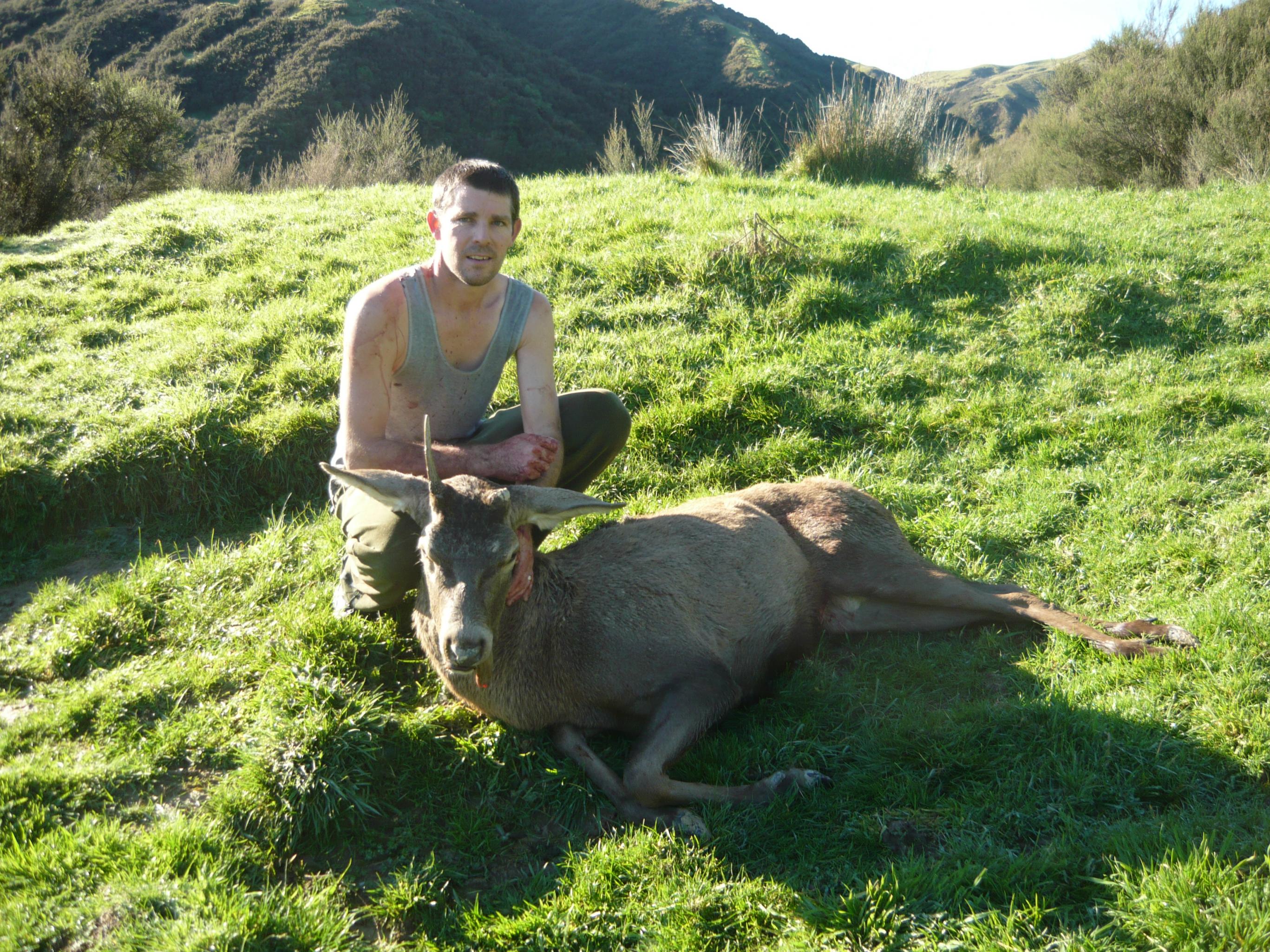 Name:  Neil's woodville spiker June 2017.jpg
Views: 441
Size:  1.03 MB