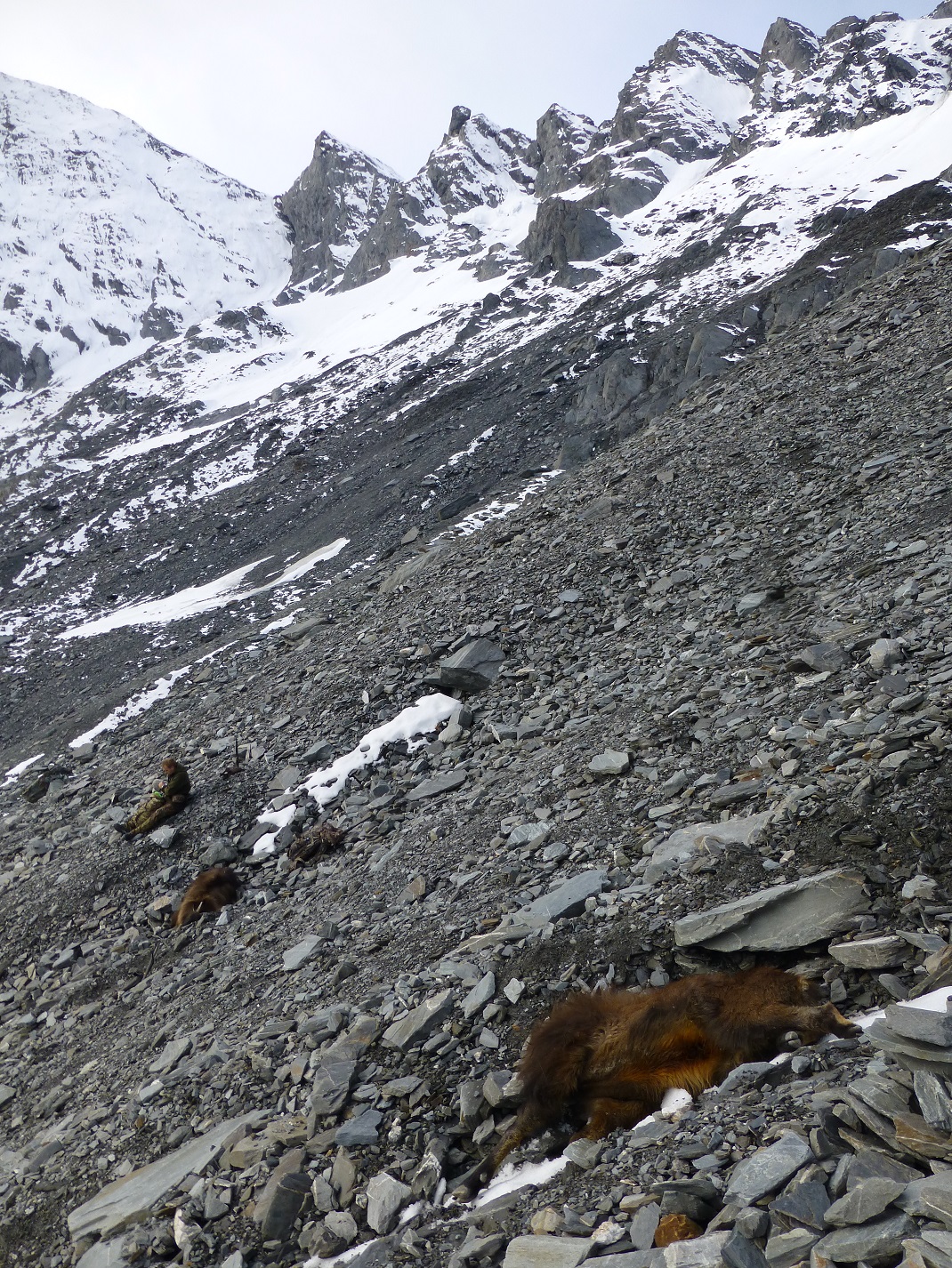 Name:  P1060642.JPG
Views: 1222
Size:  956.6 KB