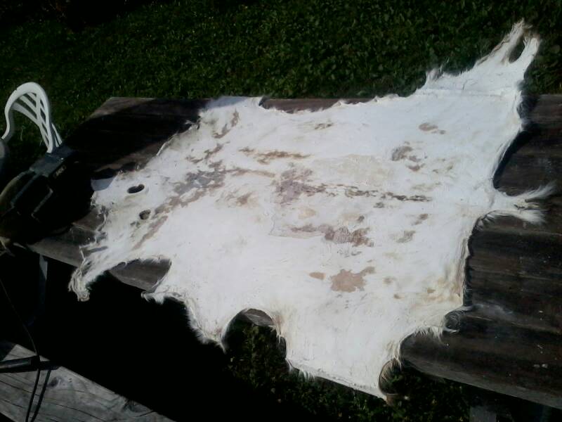 Name:  uploadfromtaptalk1360470384576.jpg
Views: 318
Size:  50.1 KB