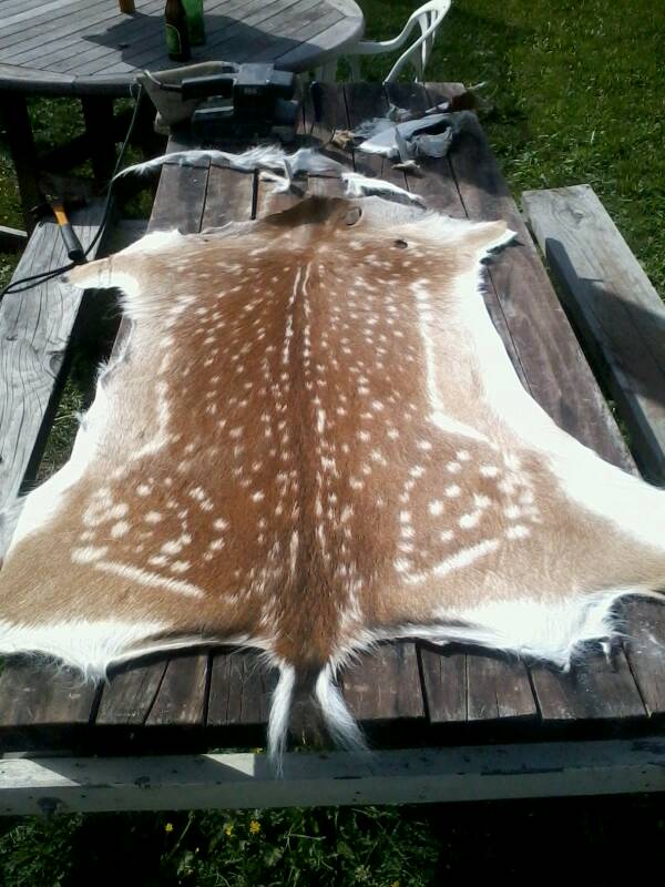 Name:  uploadfromtaptalk1360470433281.jpg
Views: 321
Size:  75.5 KB