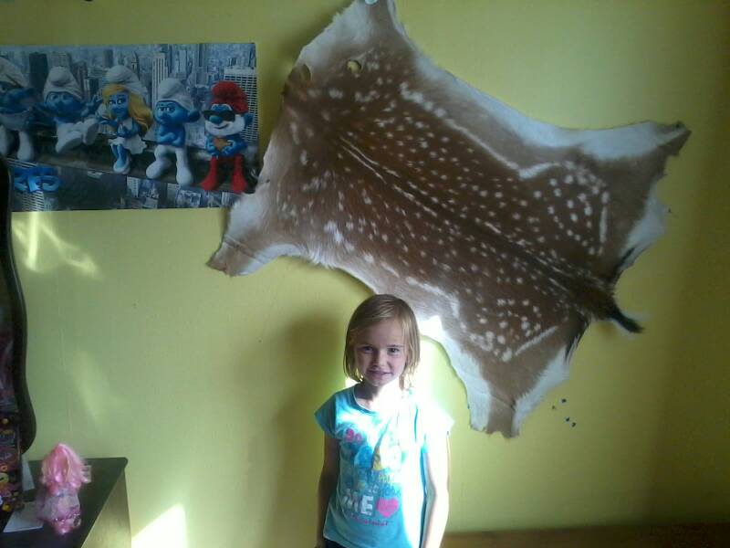 Name:  uploadfromtaptalk1360472527531.jpg
Views: 289
Size:  42.0 KB