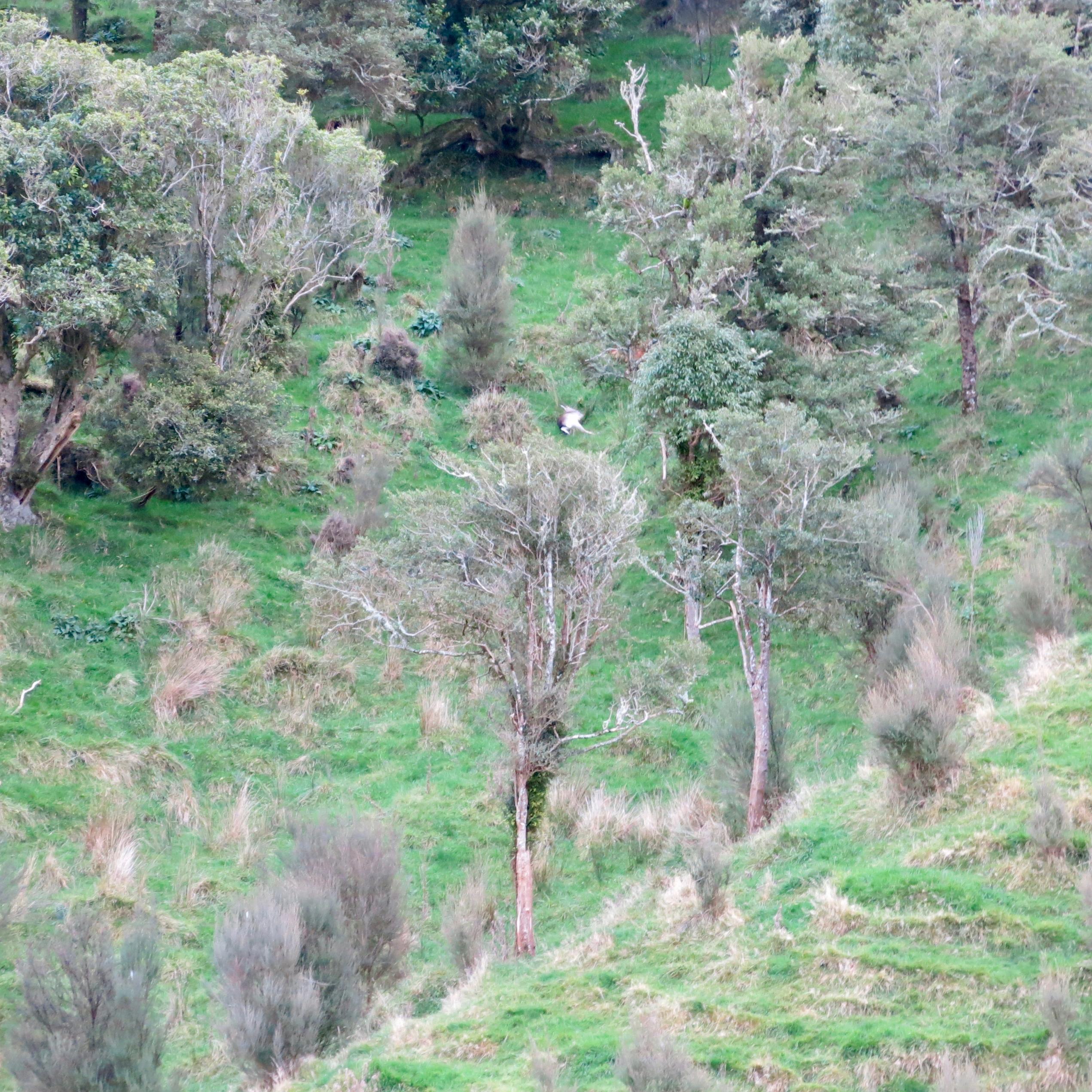 Name:  IMG_1101.jpg
Views: 564
Size:  1.01 MB