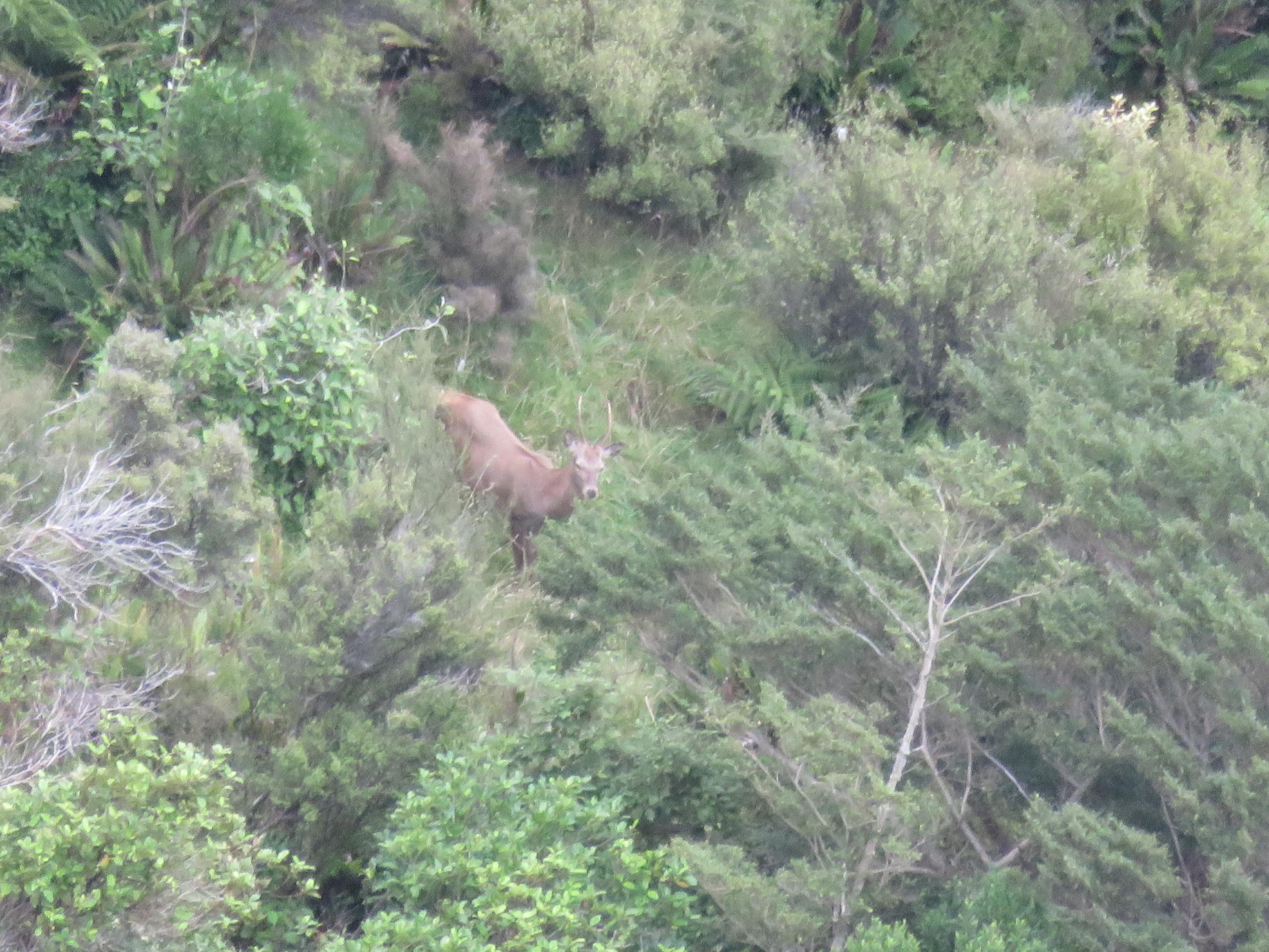 Name:  IMG_1758.jpg
Views: 529
Size:  1.10 MB