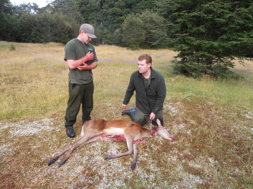 Name:  deer4.jpg
Views: 322
Size:  72.8 KB