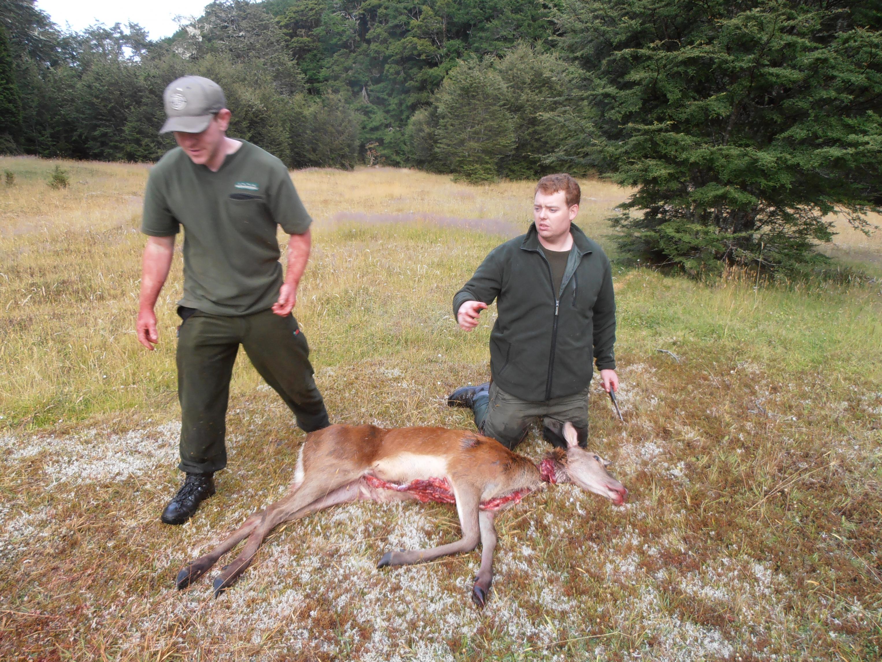Name:  deer7.jpg
Views: 422
Size:  1.12 MB