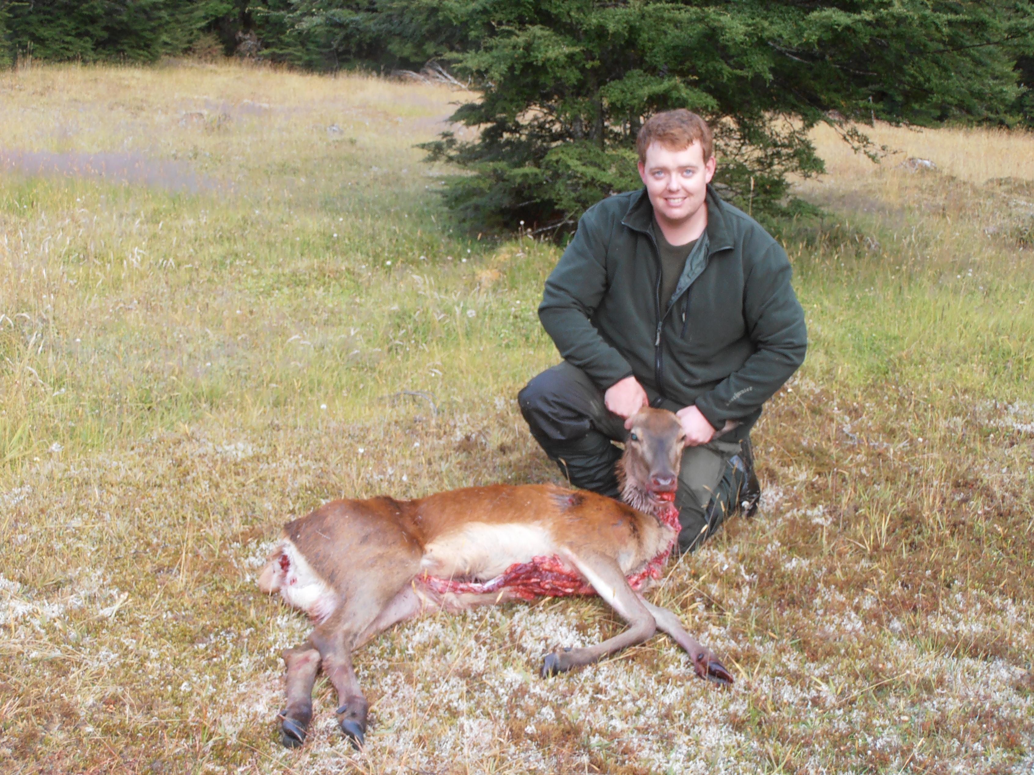 Name:  deer10.jpg
Views: 438
Size:  1.04 MB