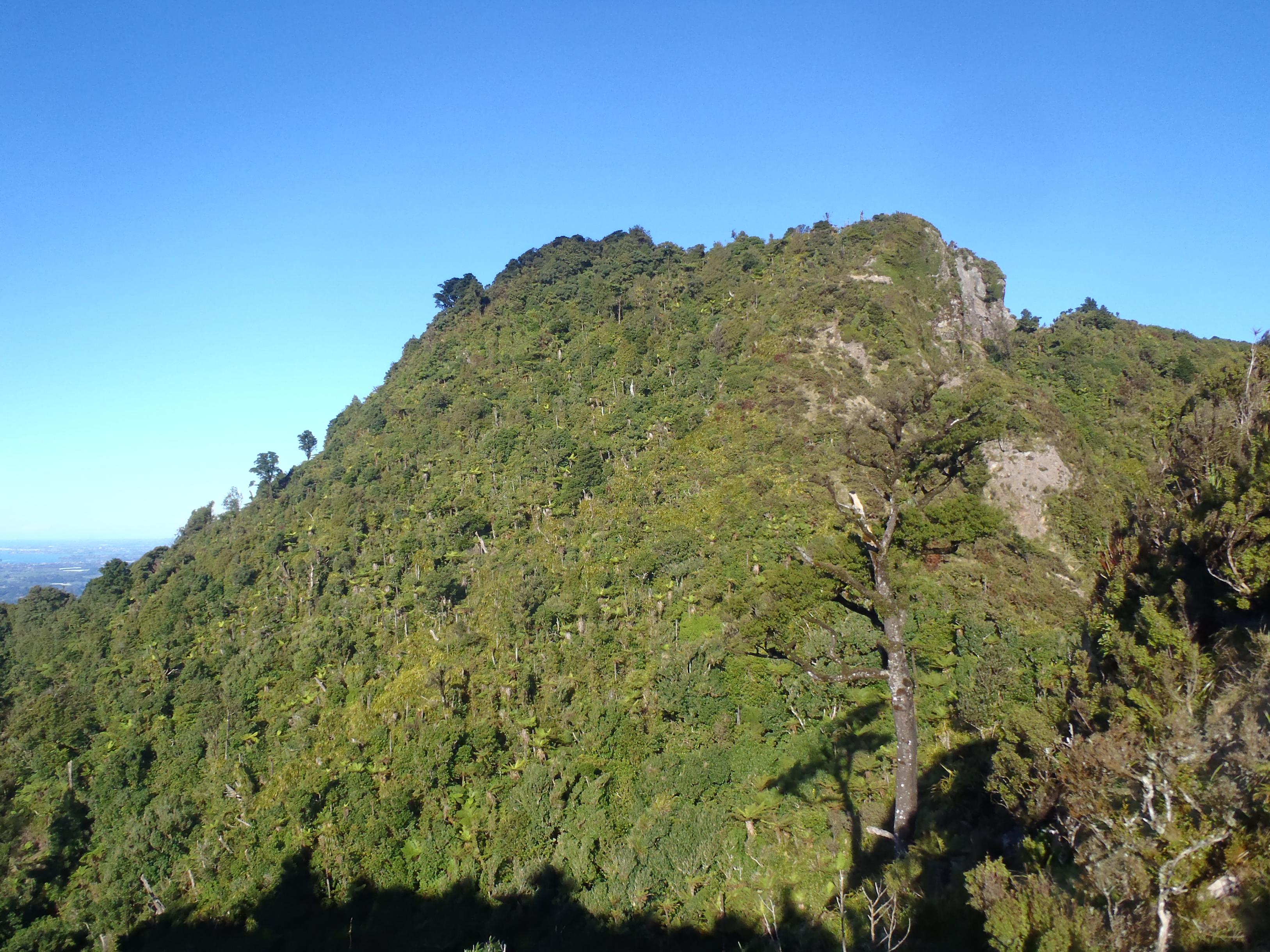 Name:  019.jpg
Views: 824
Size:  1.09 MB