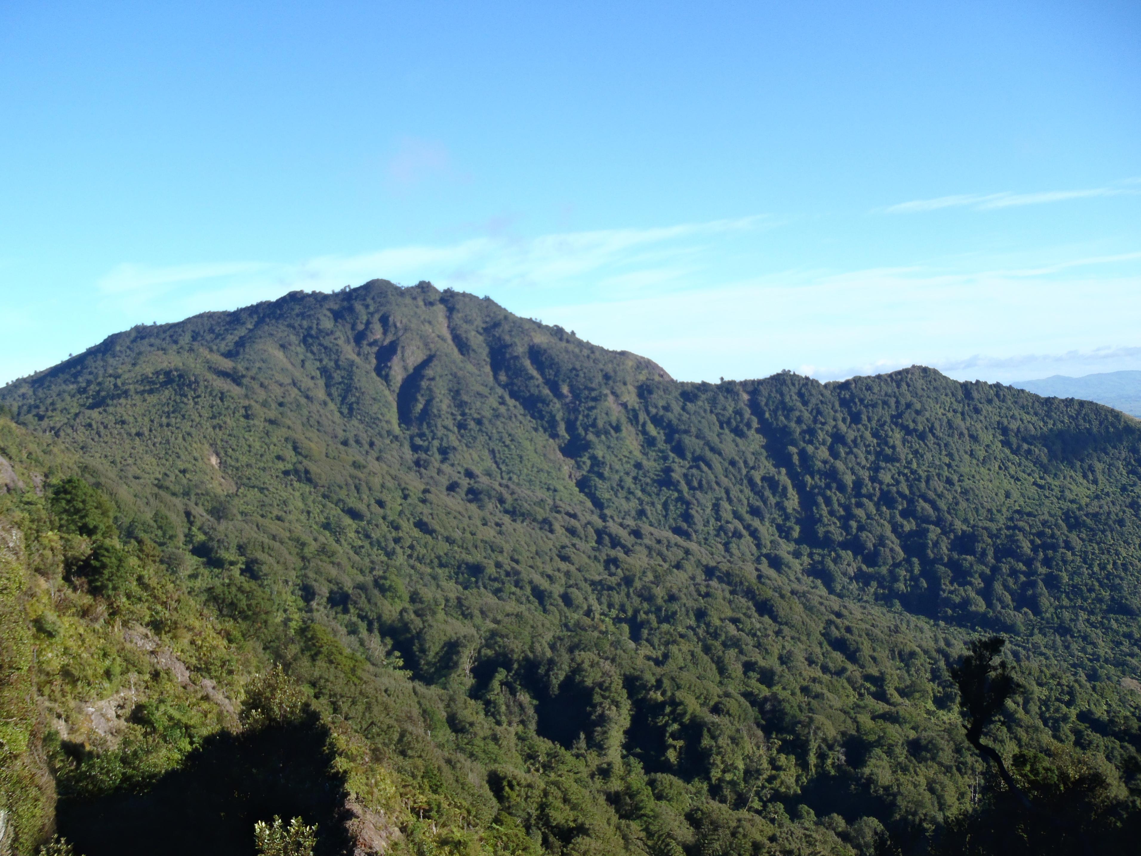 Name:  020.jpg
Views: 822
Size:  1,020.7 KB
