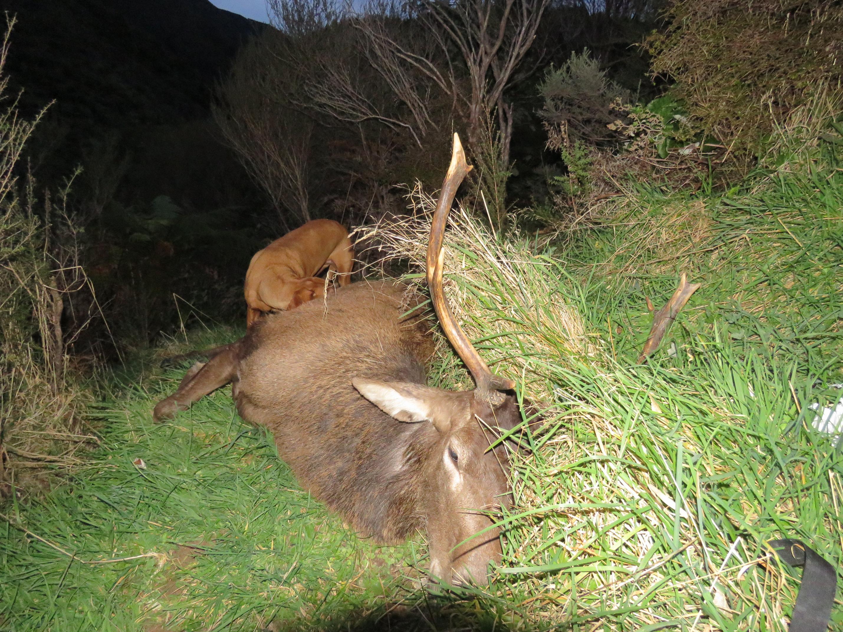 Name:  IMG_1718.jpg
Views: 1265
Size:  1.13 MB