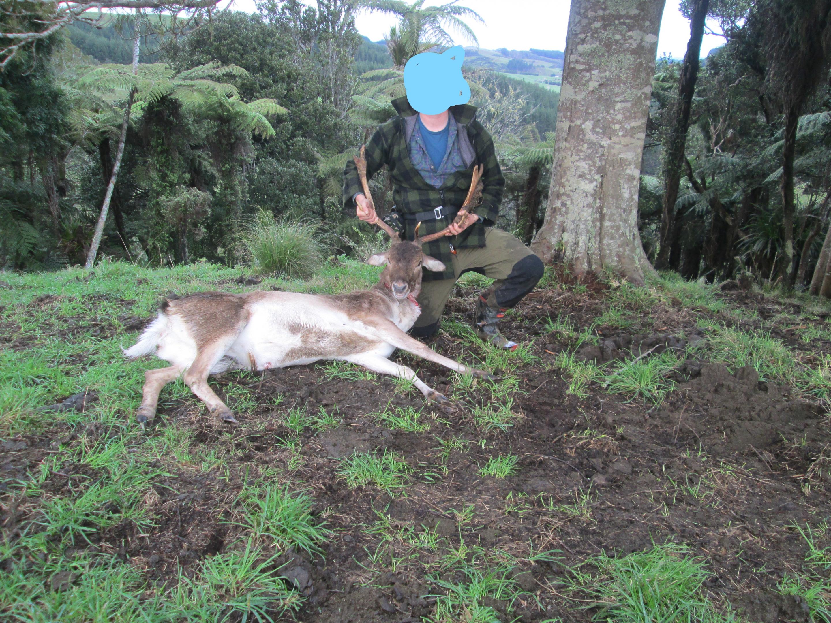 Name:  IMG_1438_LI.jpg
Views: 571
Size:  1.13 MB