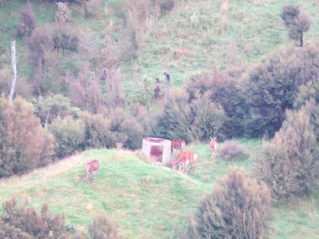 Name:  IMG_0870.jpg
Views: 799
Size:  107.1 KB