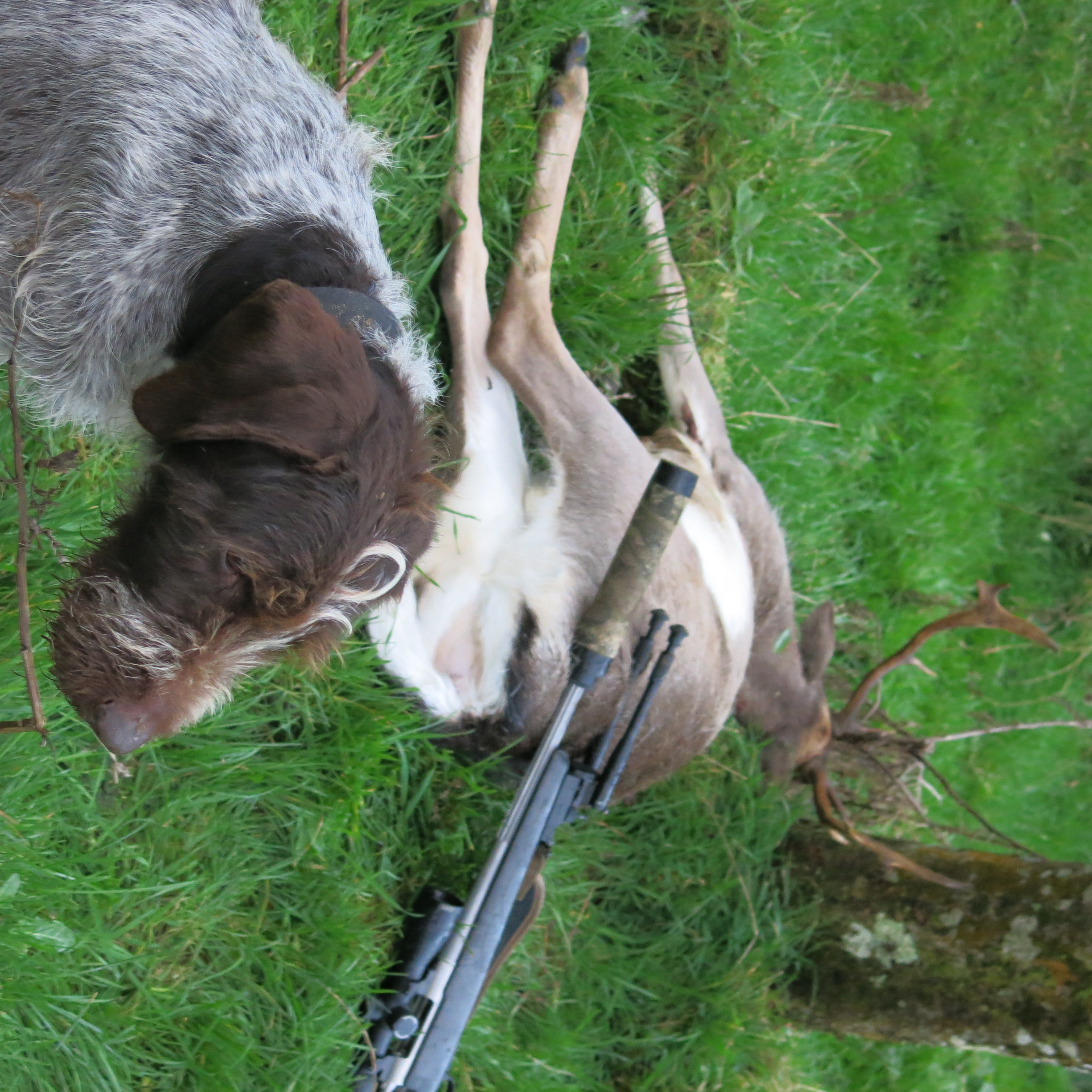 Name:  IMG_1112.JPG
Views: 410
Size:  2.41 MB