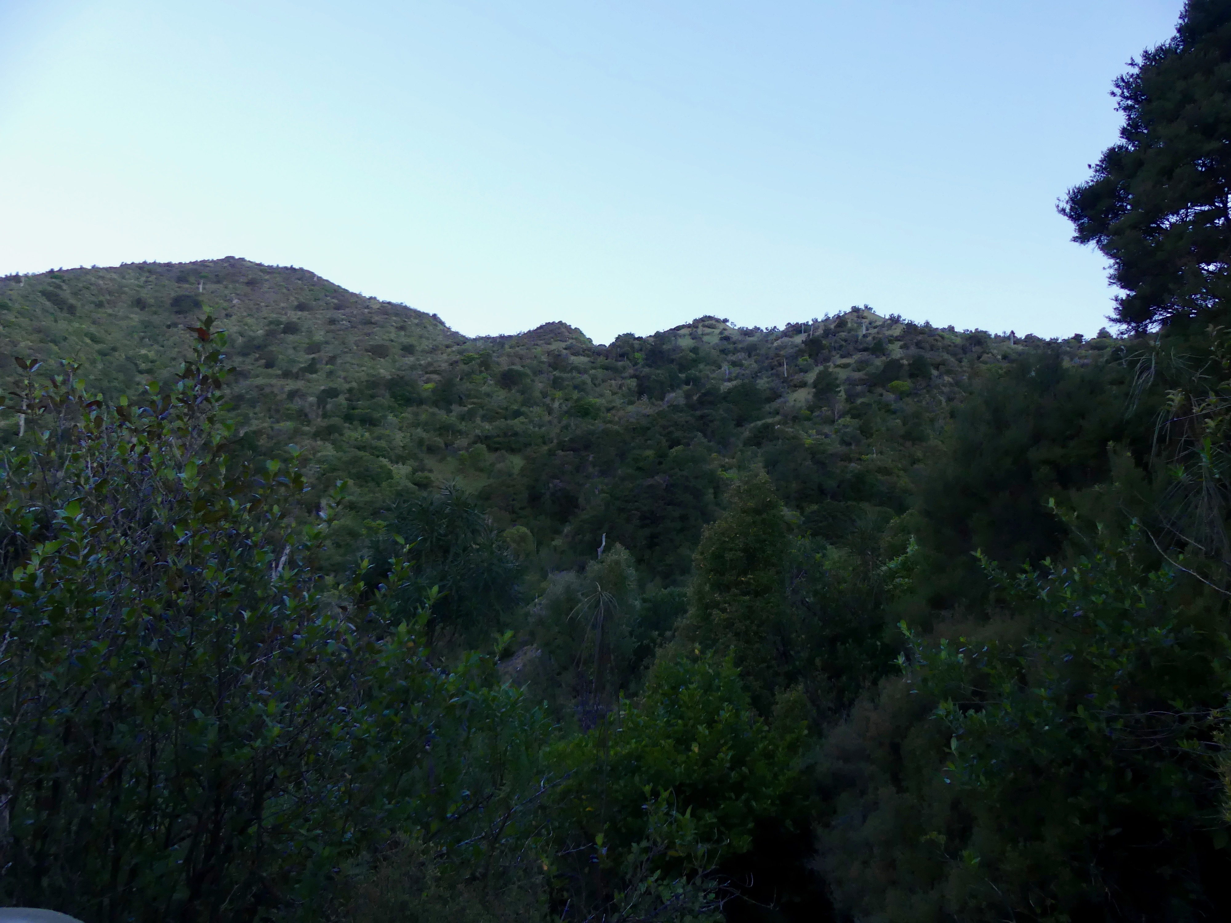 Name:  P1000916.jpg
Views: 815
Size:  1.85 MB