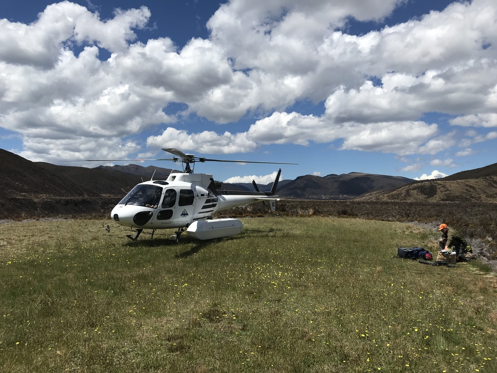 Name:  heli1.jpg
Views: 965
Size:  304.2 KB