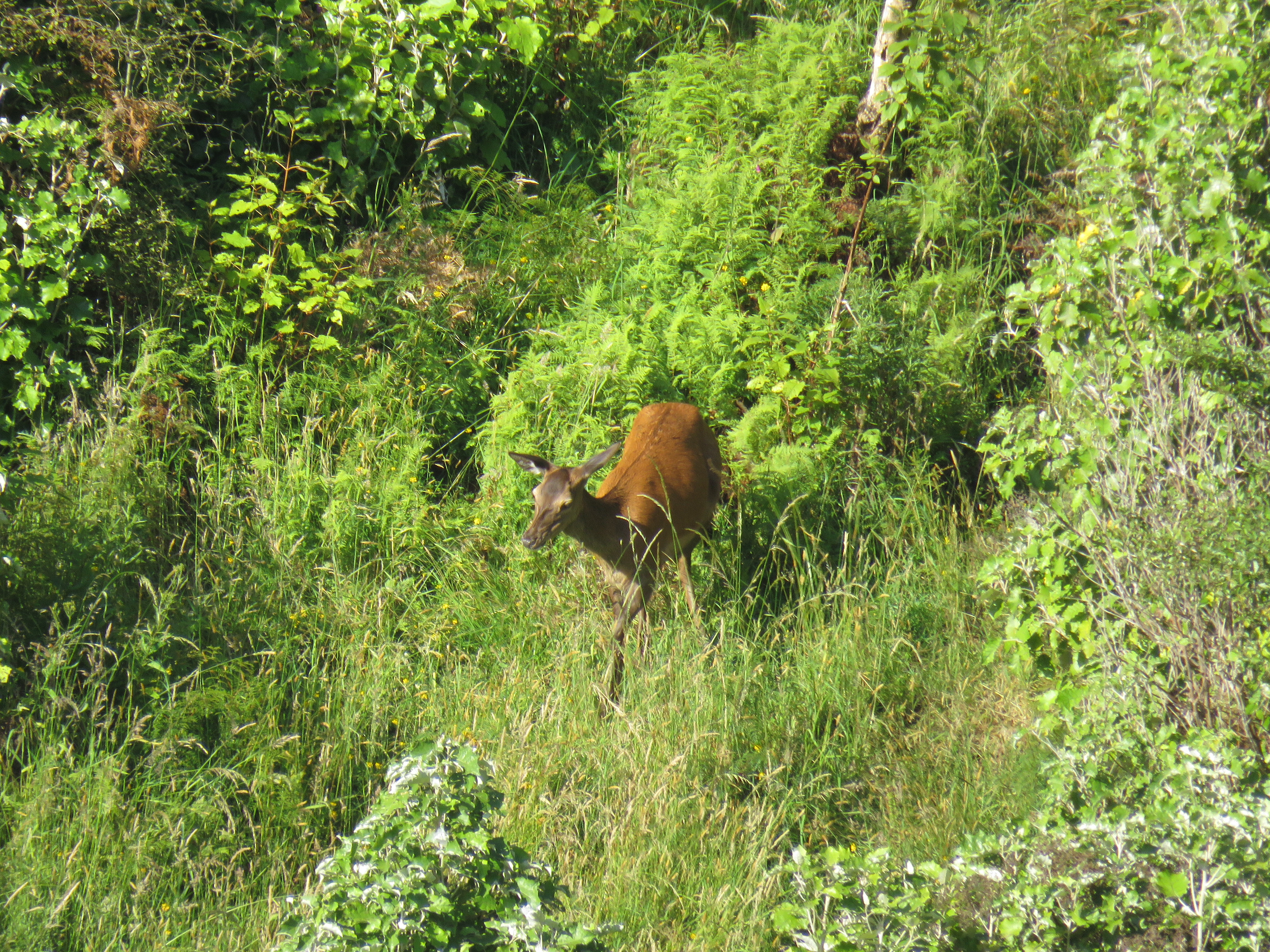 Name:  IMG_1998.JPG
Views: 743
Size:  8.69 MB