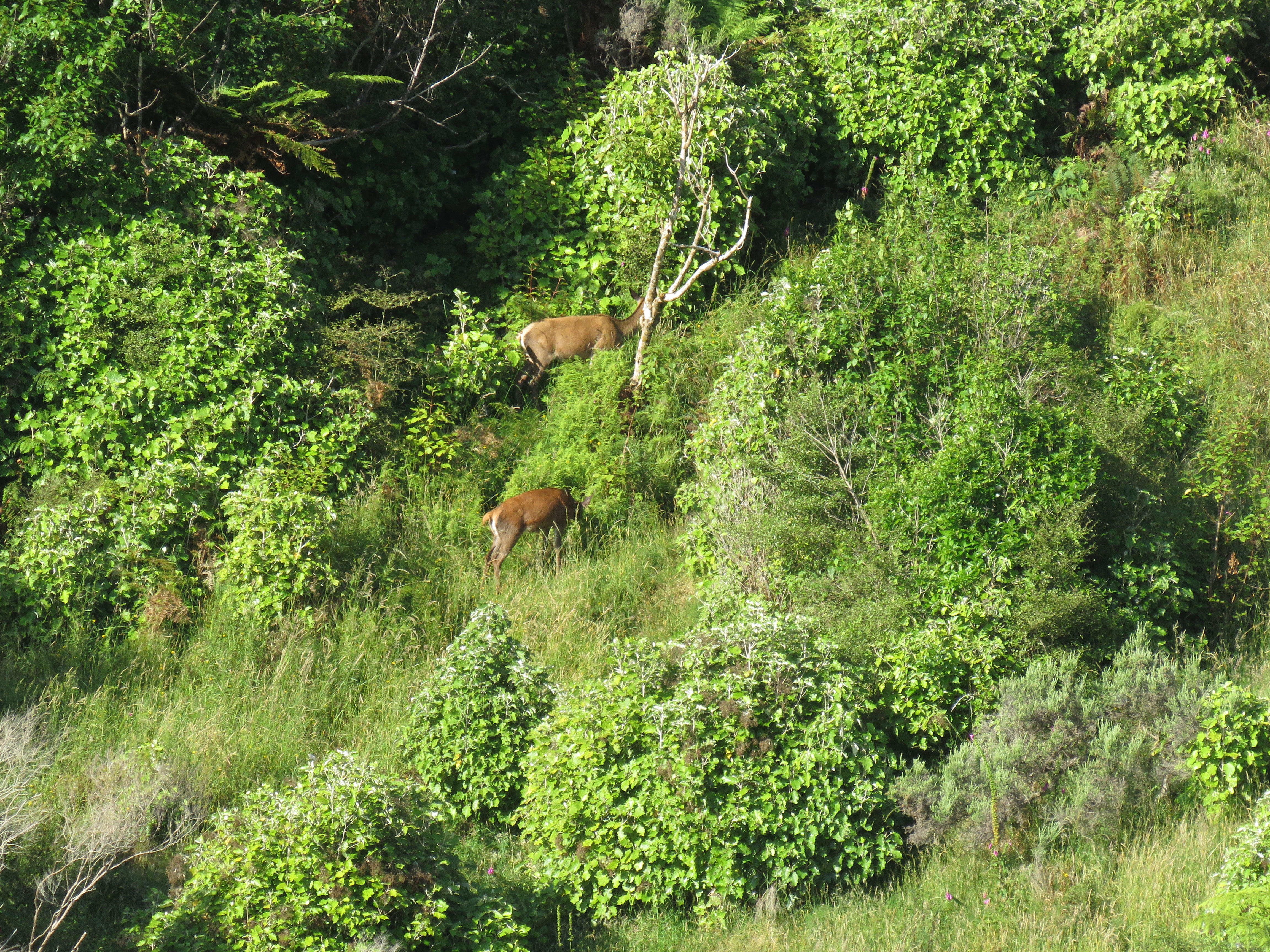 Name:  IMG_1984.JPG
Views: 723
Size:  8.52 MB