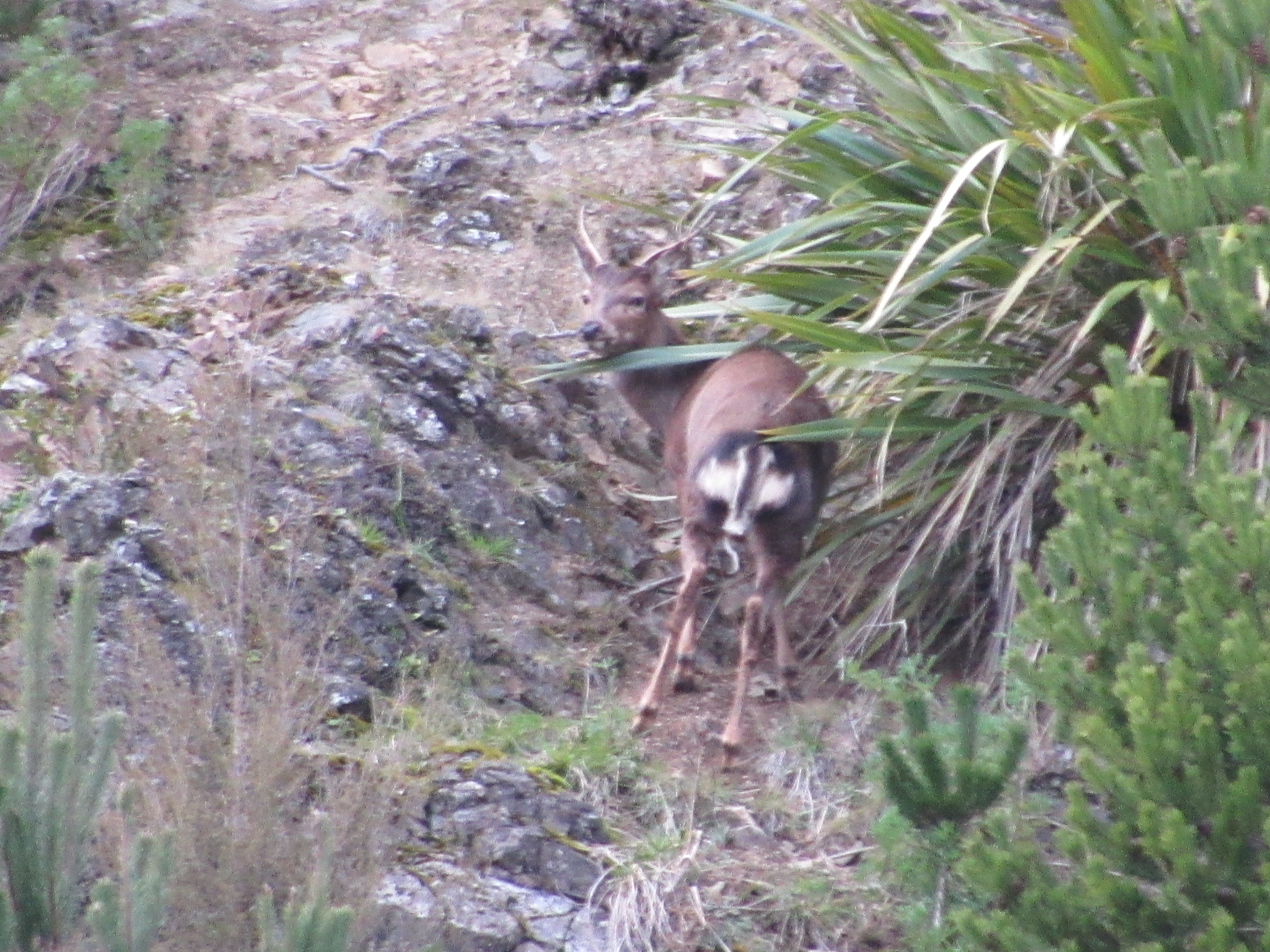 Name:  IMG_1062.JPG
Views: 768
Size:  4.53 MB