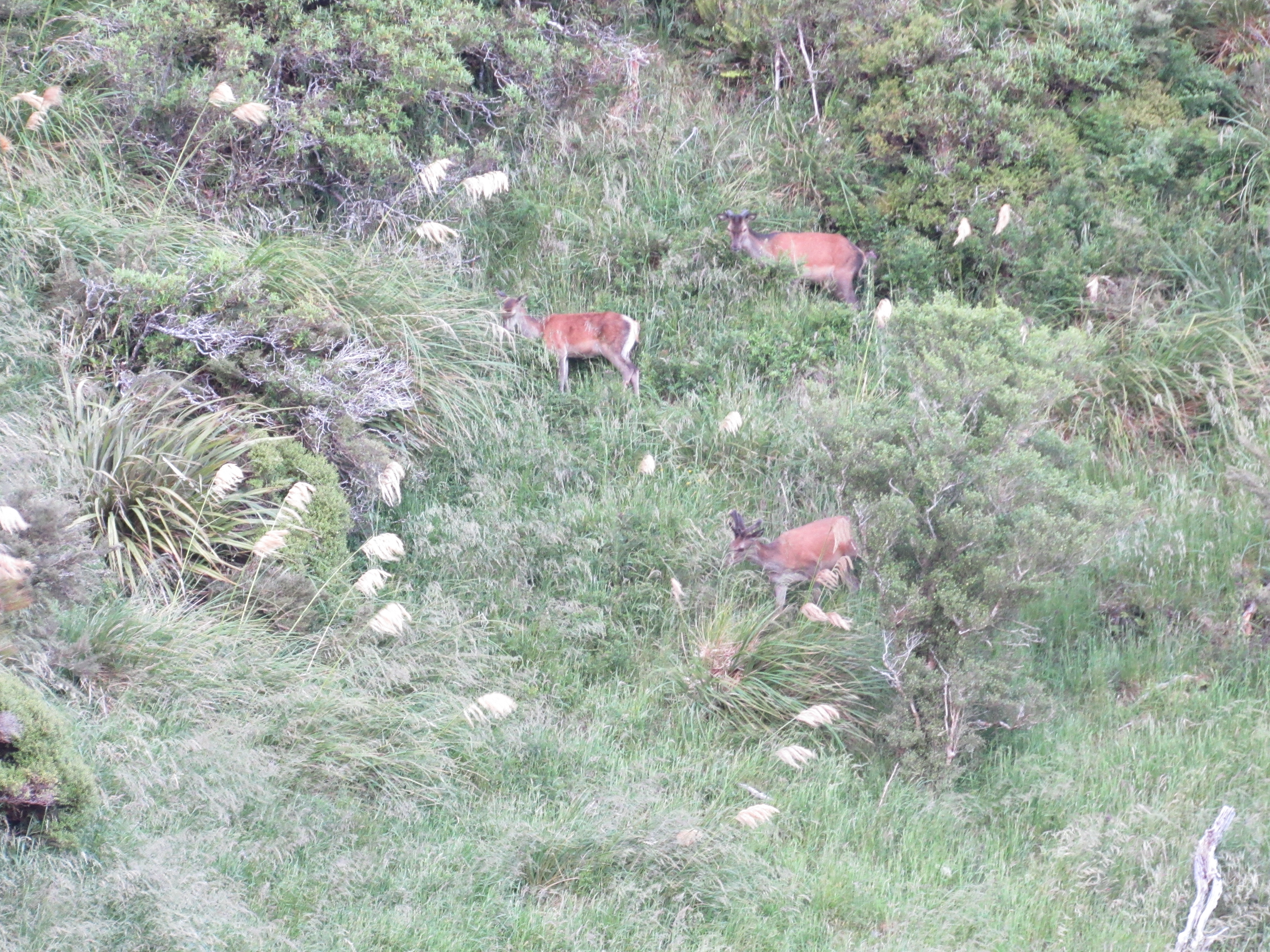Name:  IMG_1312.JPG
Views: 733
Size:  7.42 MB