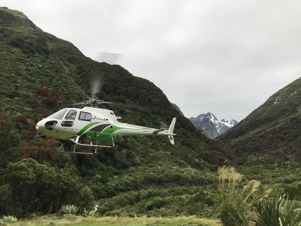 Name:  2 chopperd.jpg
Views: 869
Size:  255.5 KB